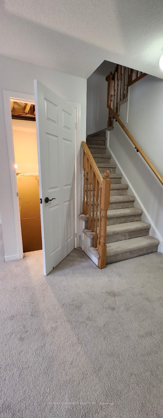 113 Ainley Road Property Photo 7