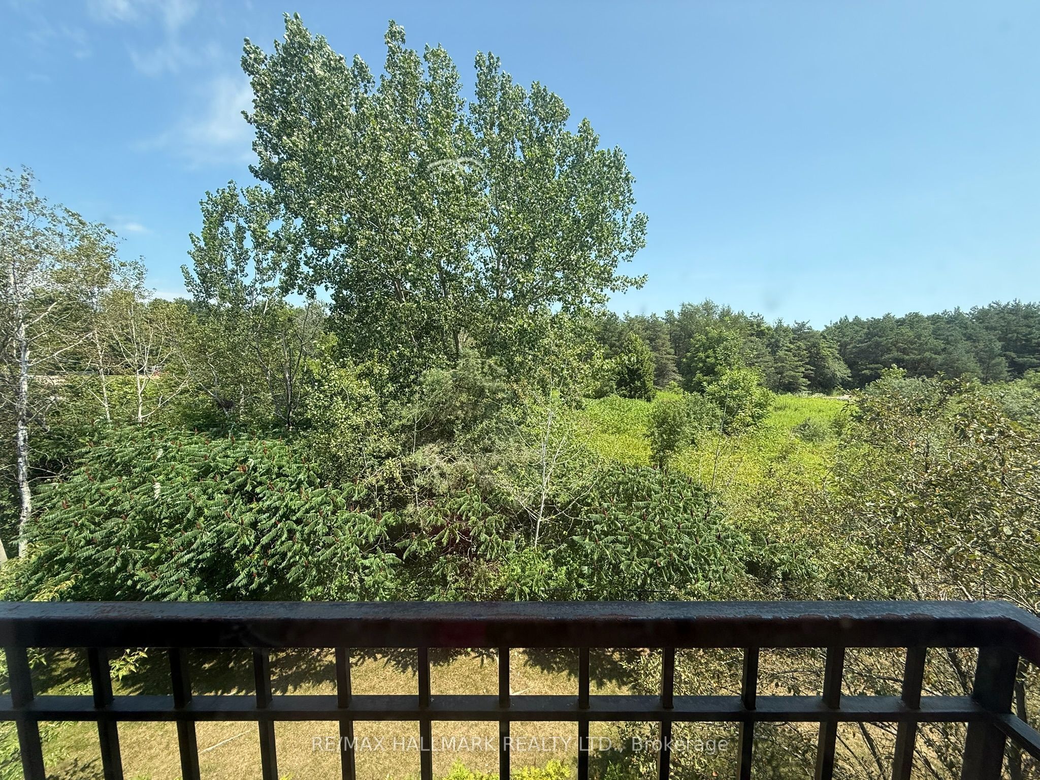 1665 Nash Road E11 Property Photo 15