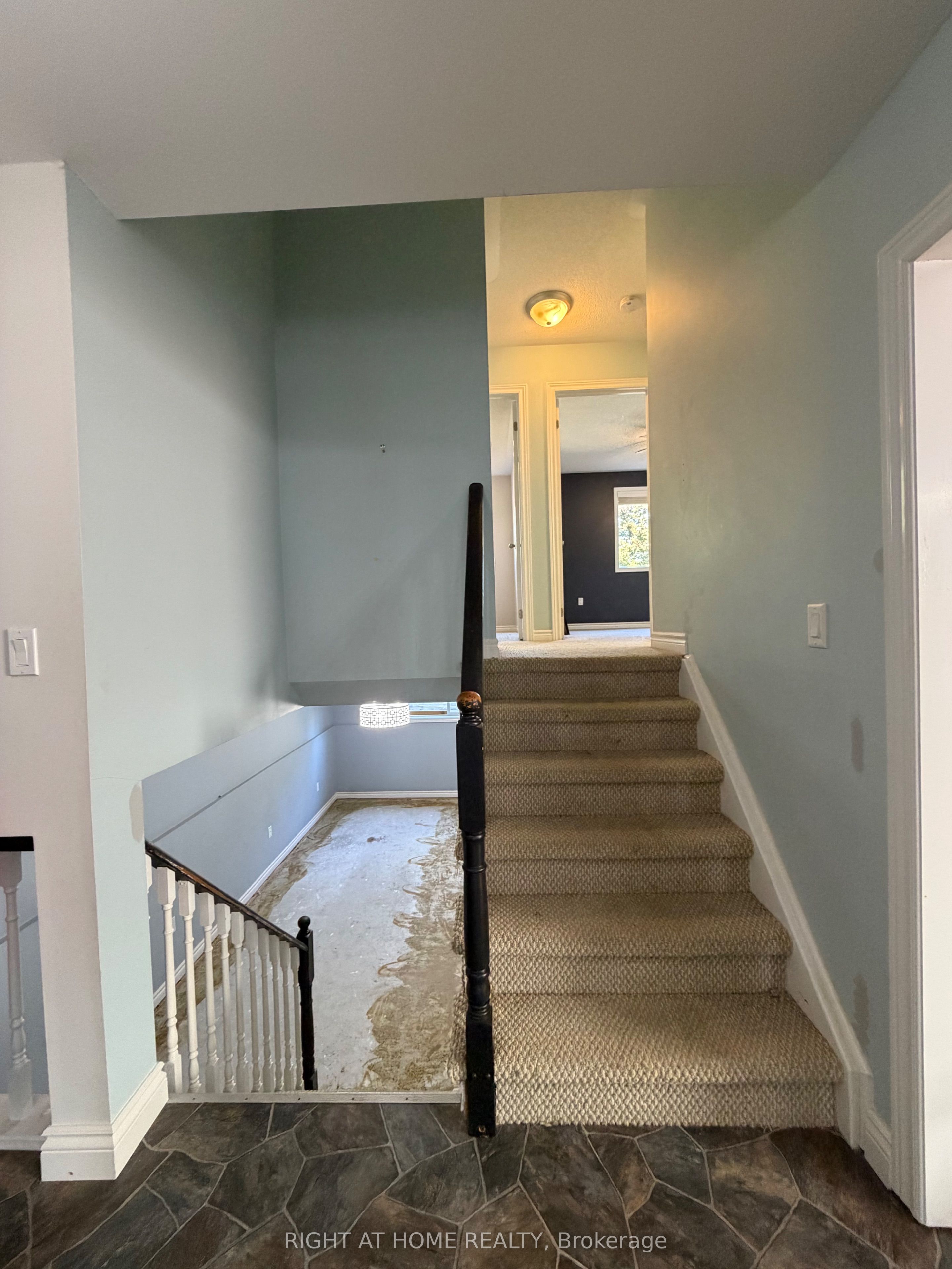 101 Kilgannon Avenue Property Photo 15