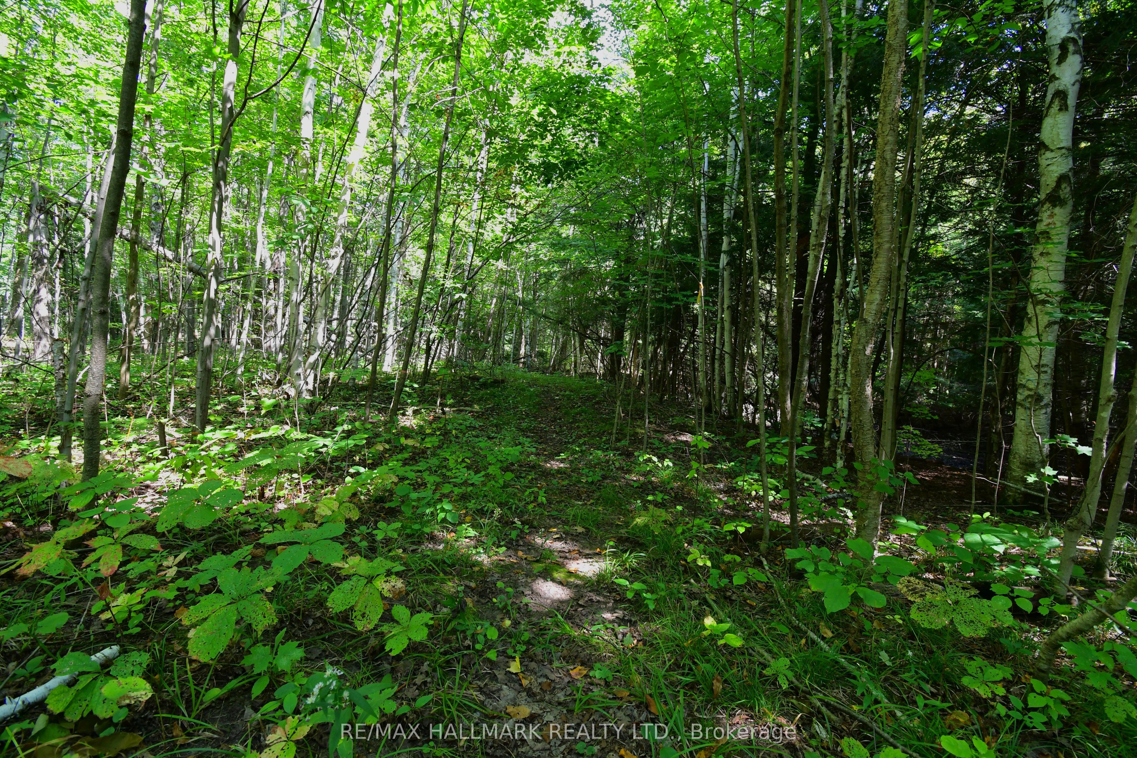 18555 Highway 12 Property Photo 33