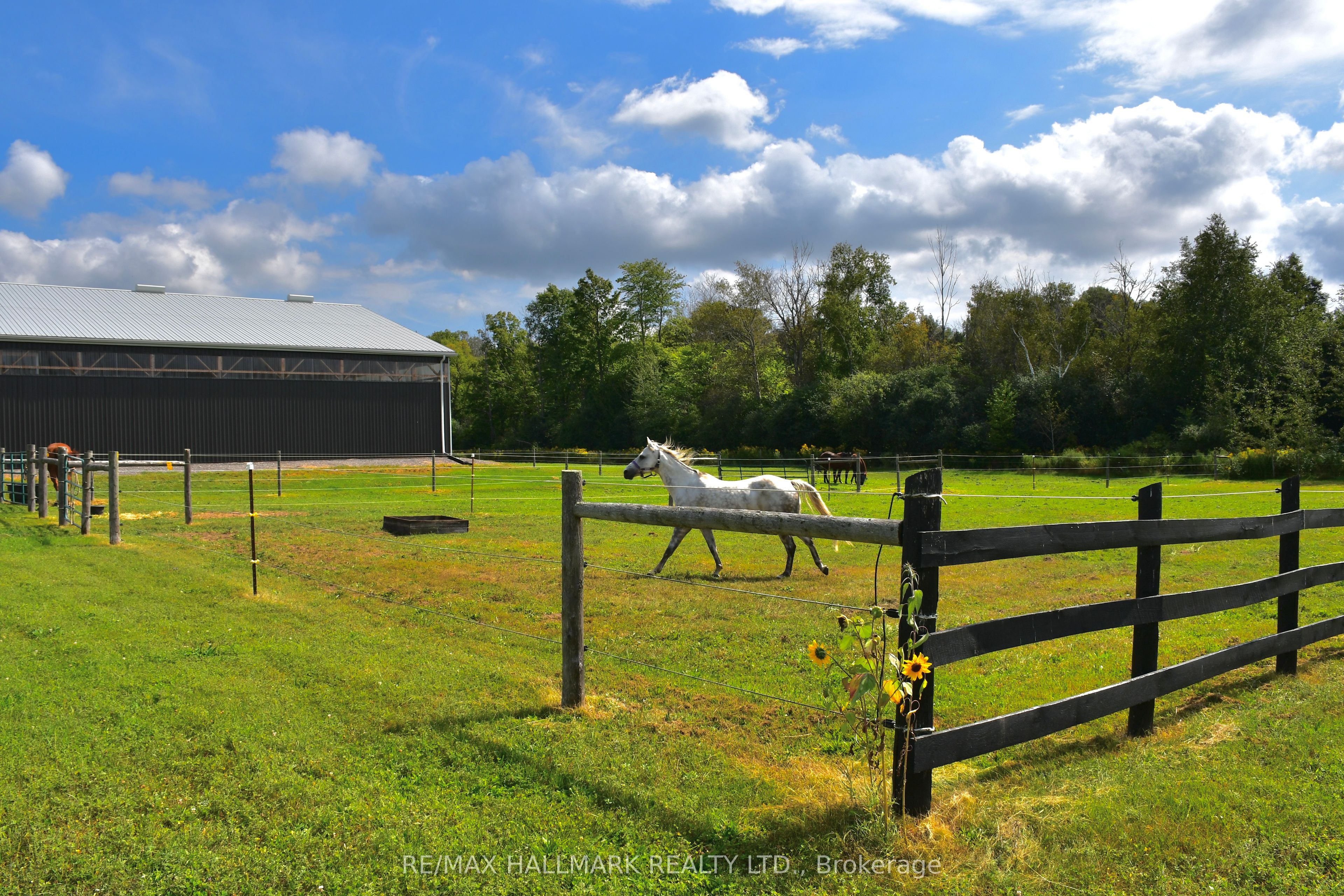 18555 Highway 12 Property Photo 40