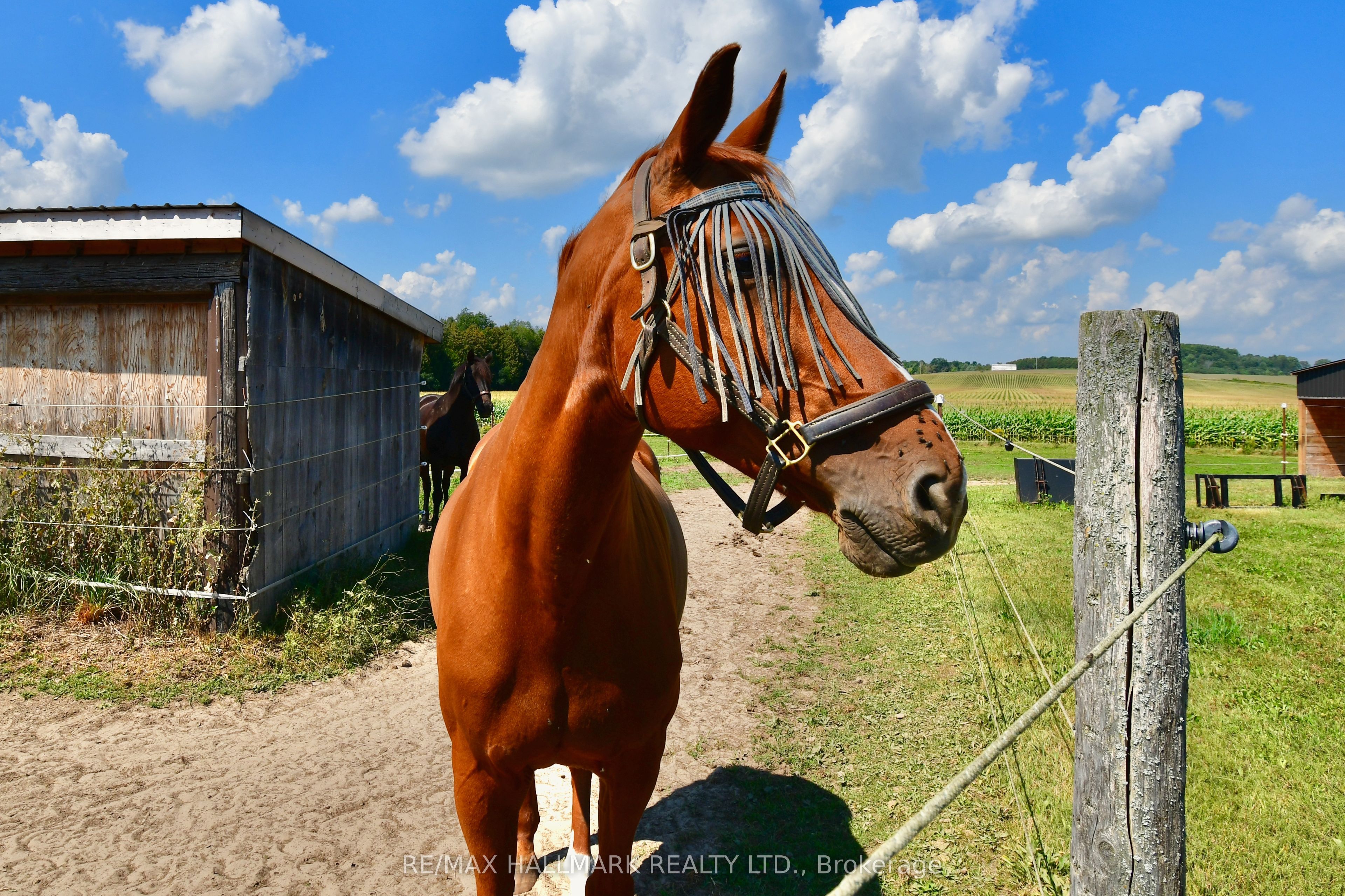 18555 Highway 12 Property Photo 43