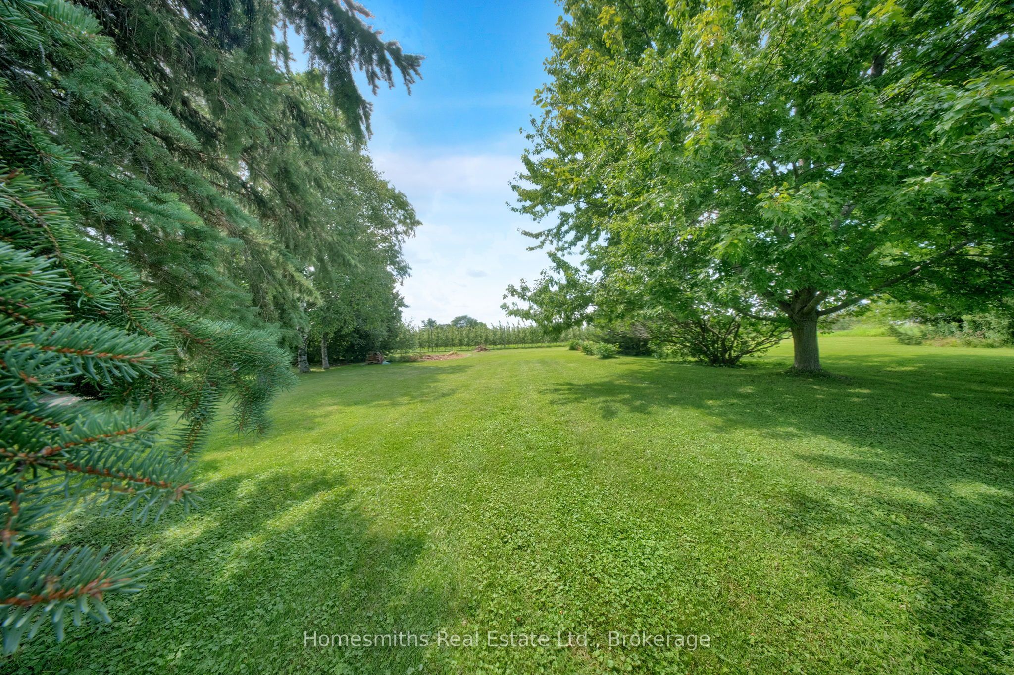 3698 Concession 5 Road Property Photo 50