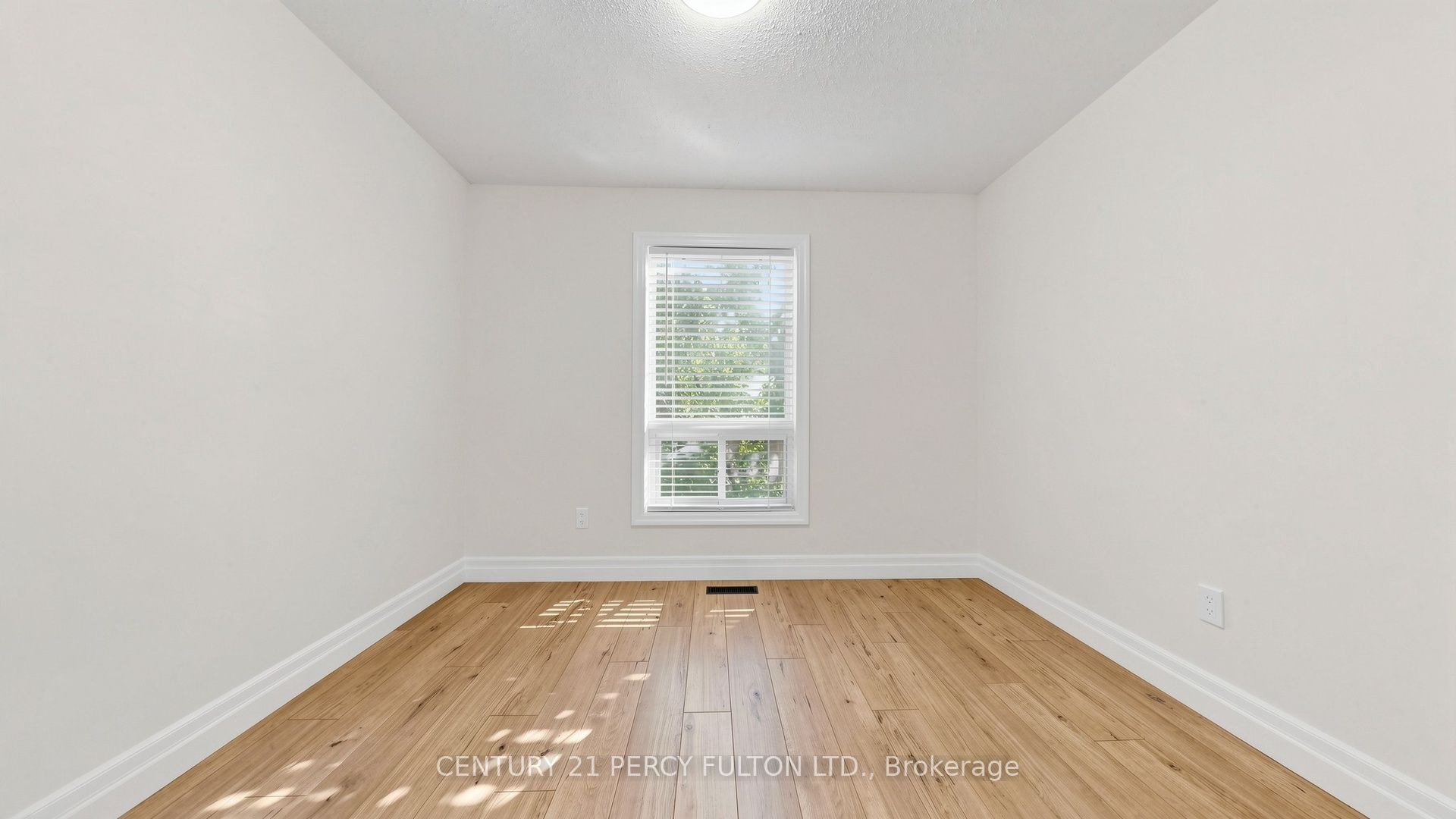 17 Harley Drive Property Photo 19