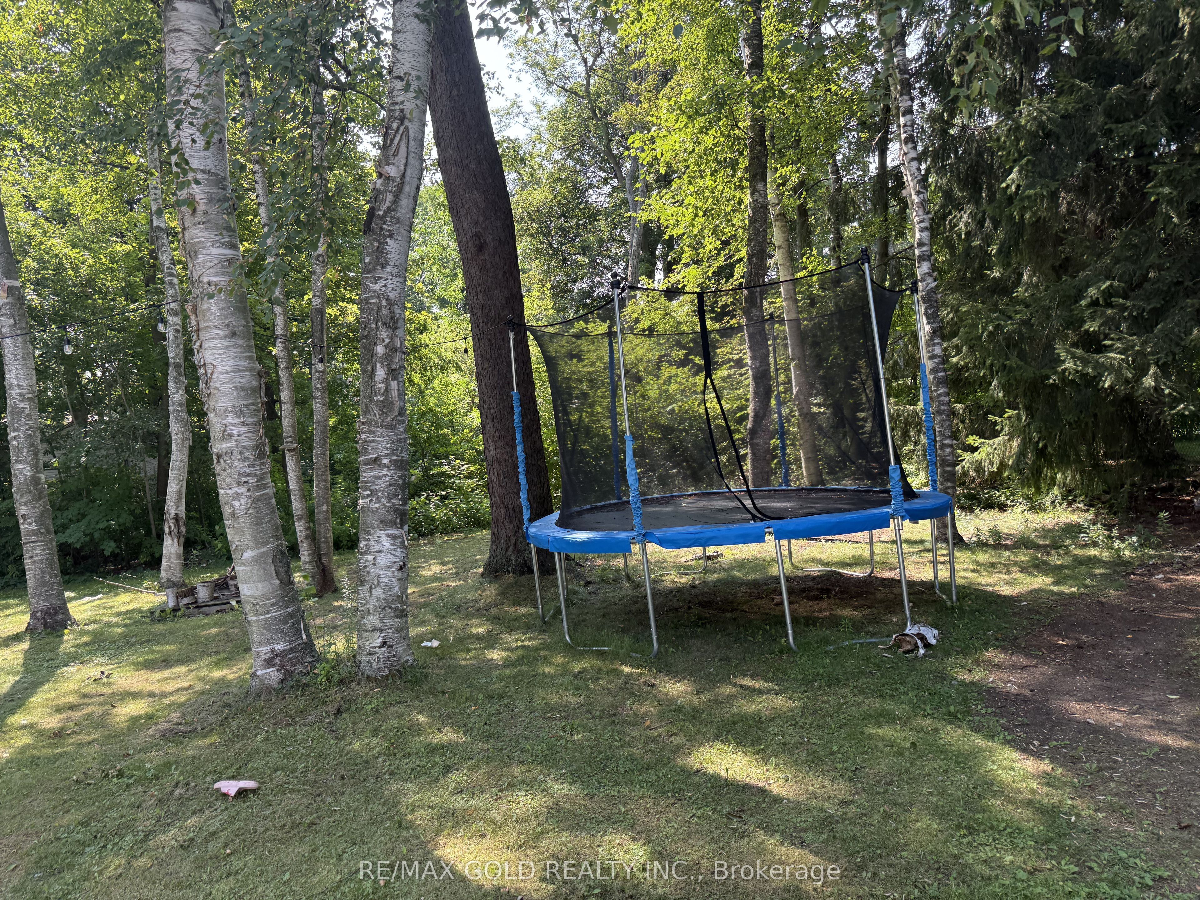 366 Beechgrove Drive Property Photo 7