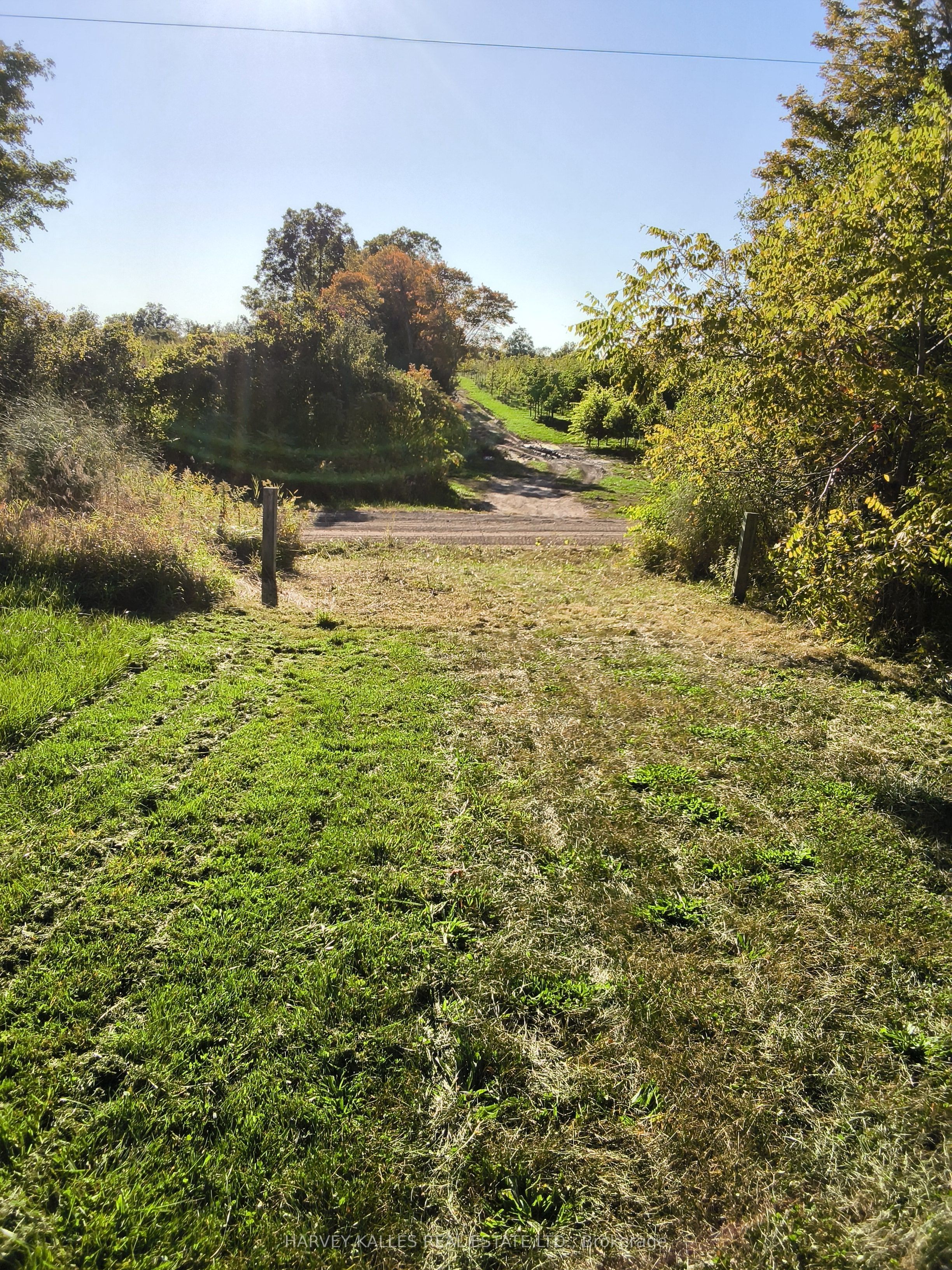 3905 7th Concession Property Photo 7