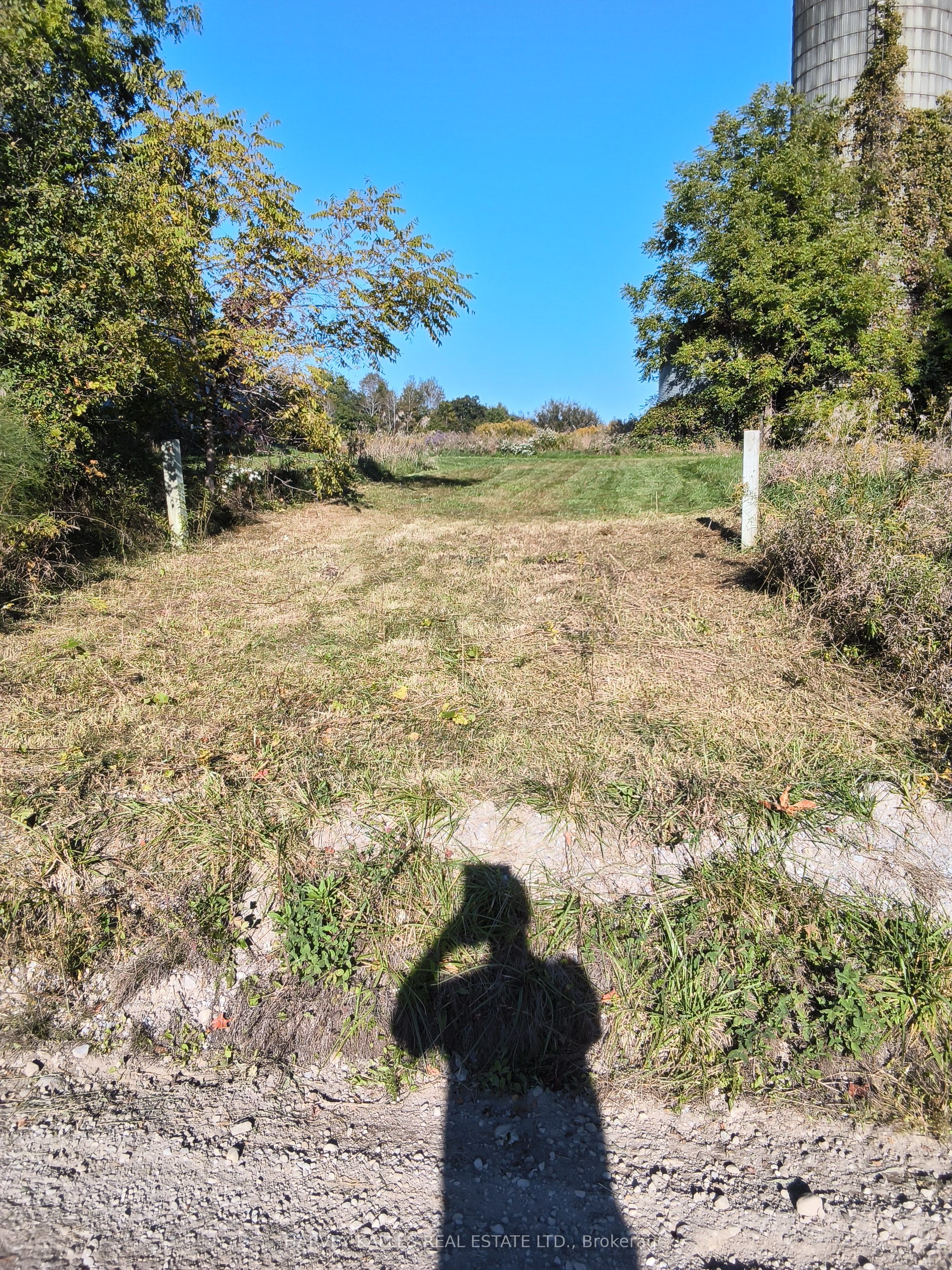 3905 7th Concession Property Photo 8