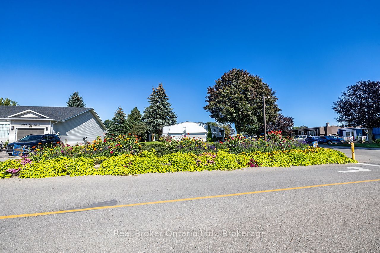 4 Birch Tree Lane Property Photo 47