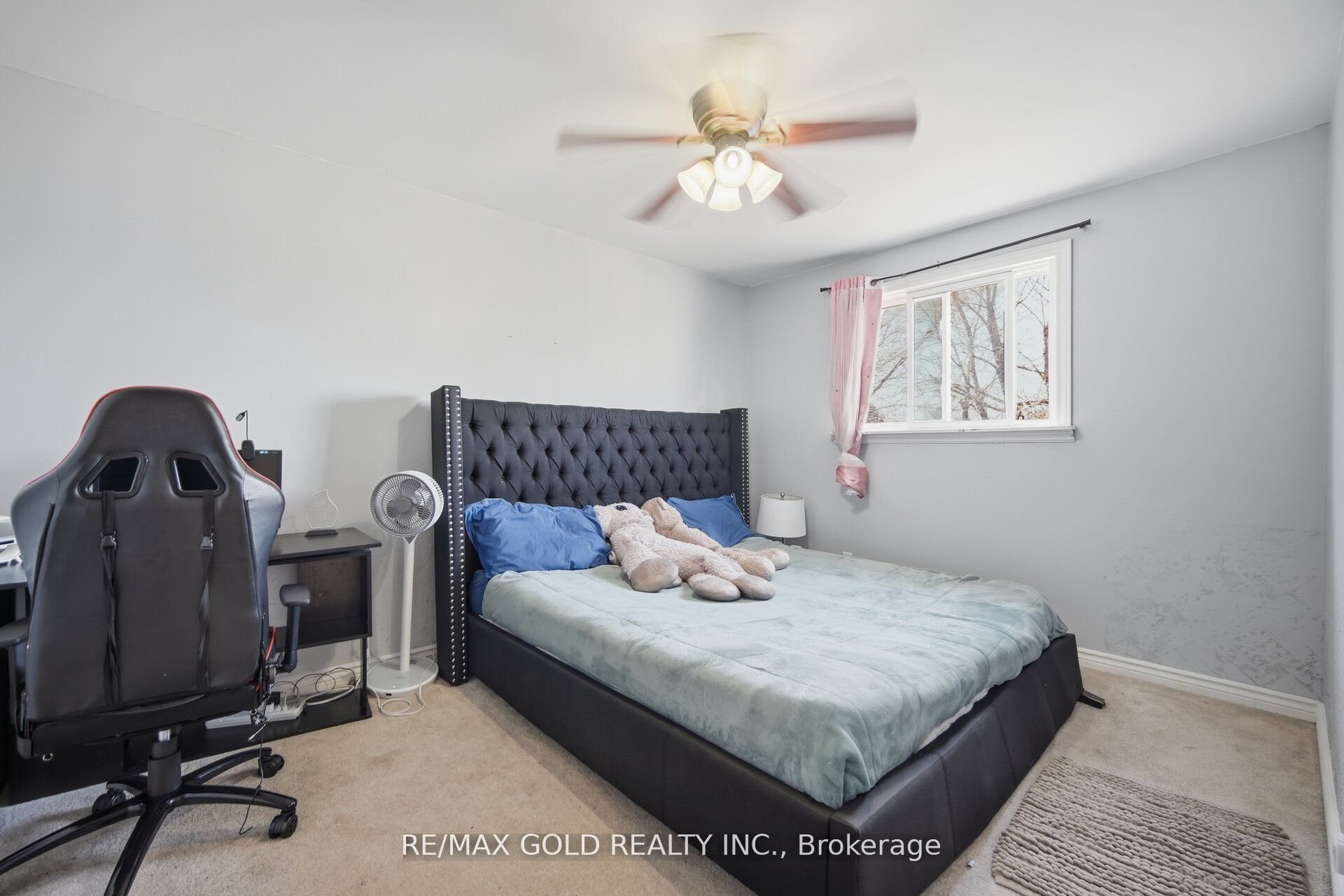 784 Douglas Street Property Photo 14