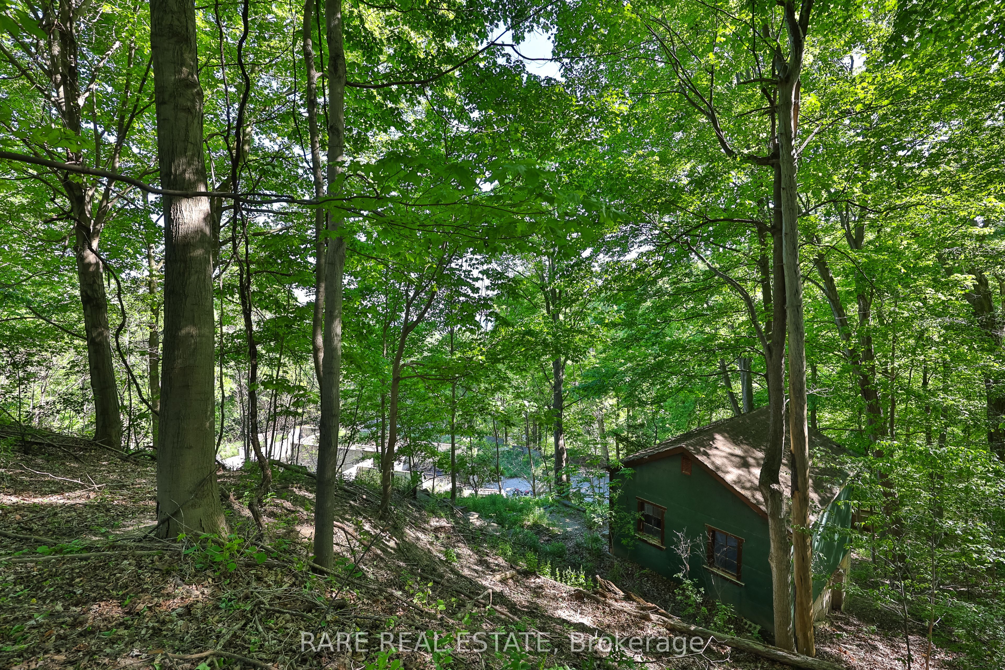 81 Meadowcliffe Drive Property Photo 18