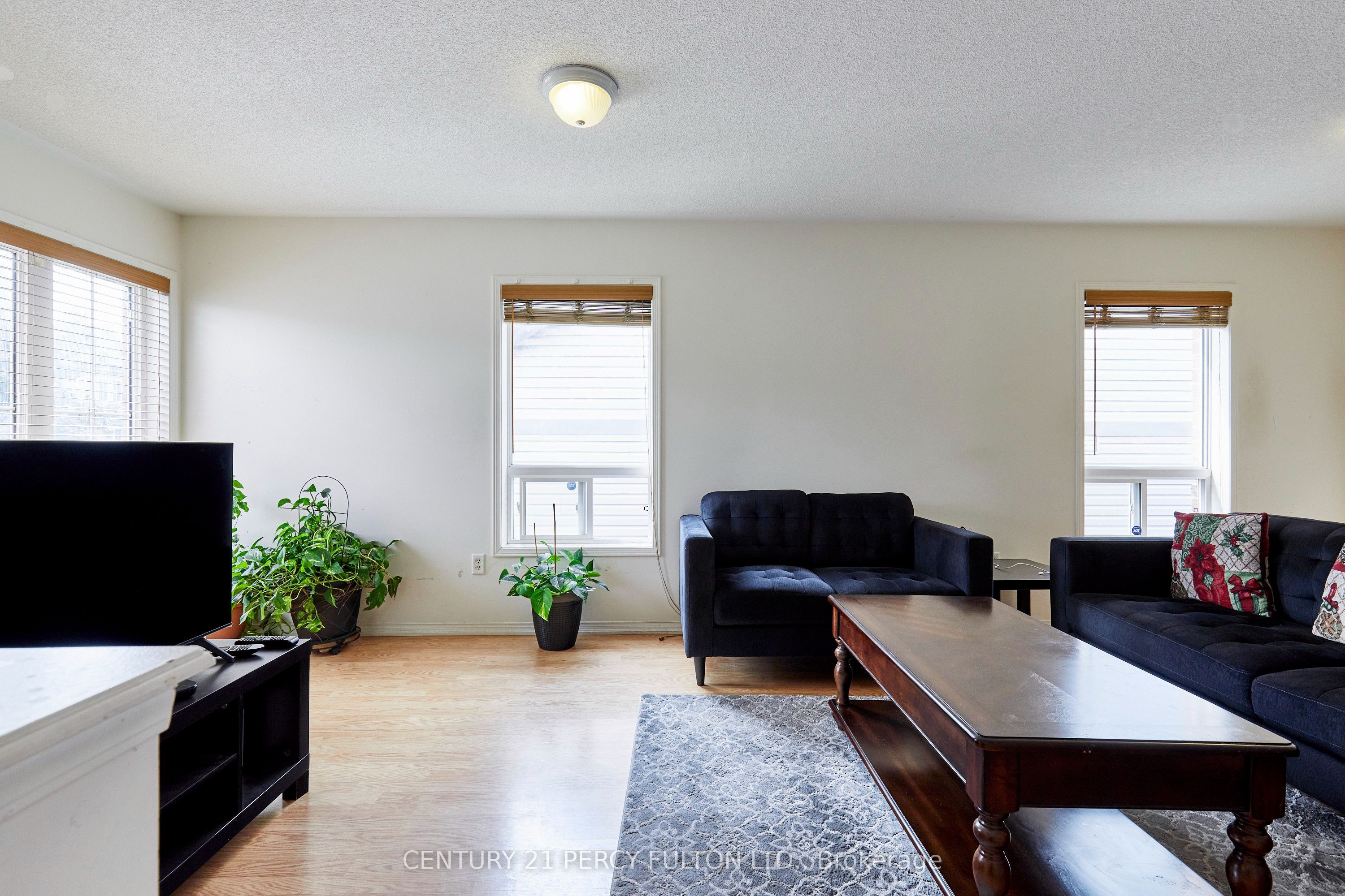 8 Knowles Street Property Photo 9