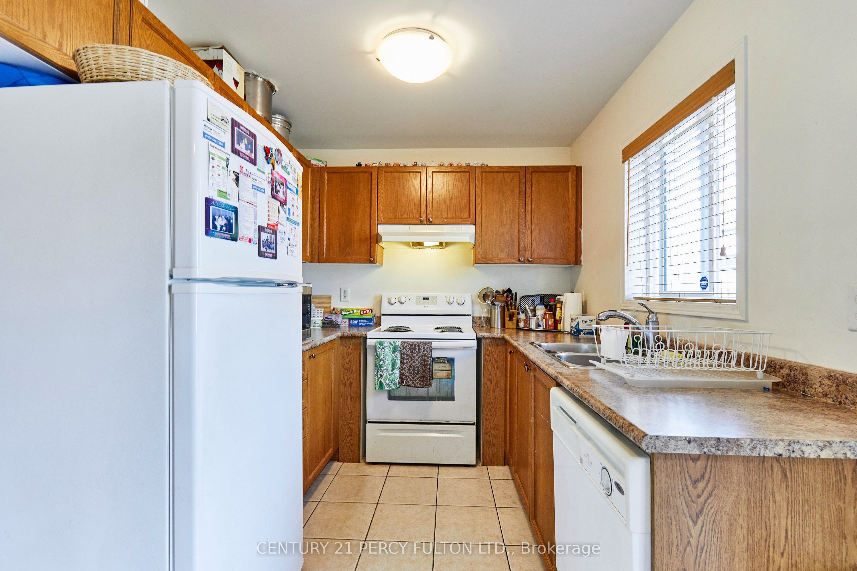 8 Knowles Street Property Photo 13