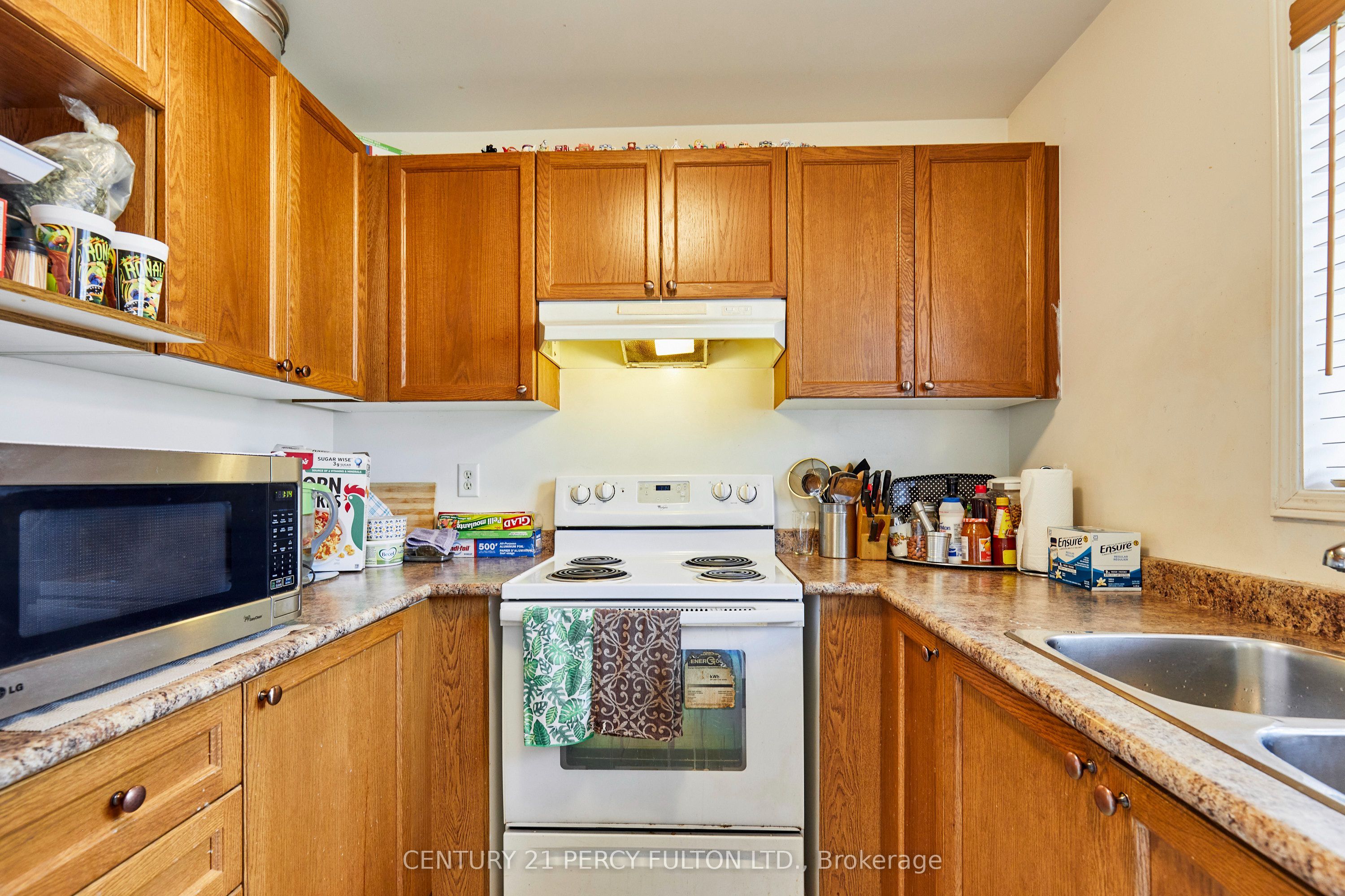 8 Knowles Street Property Photo 14