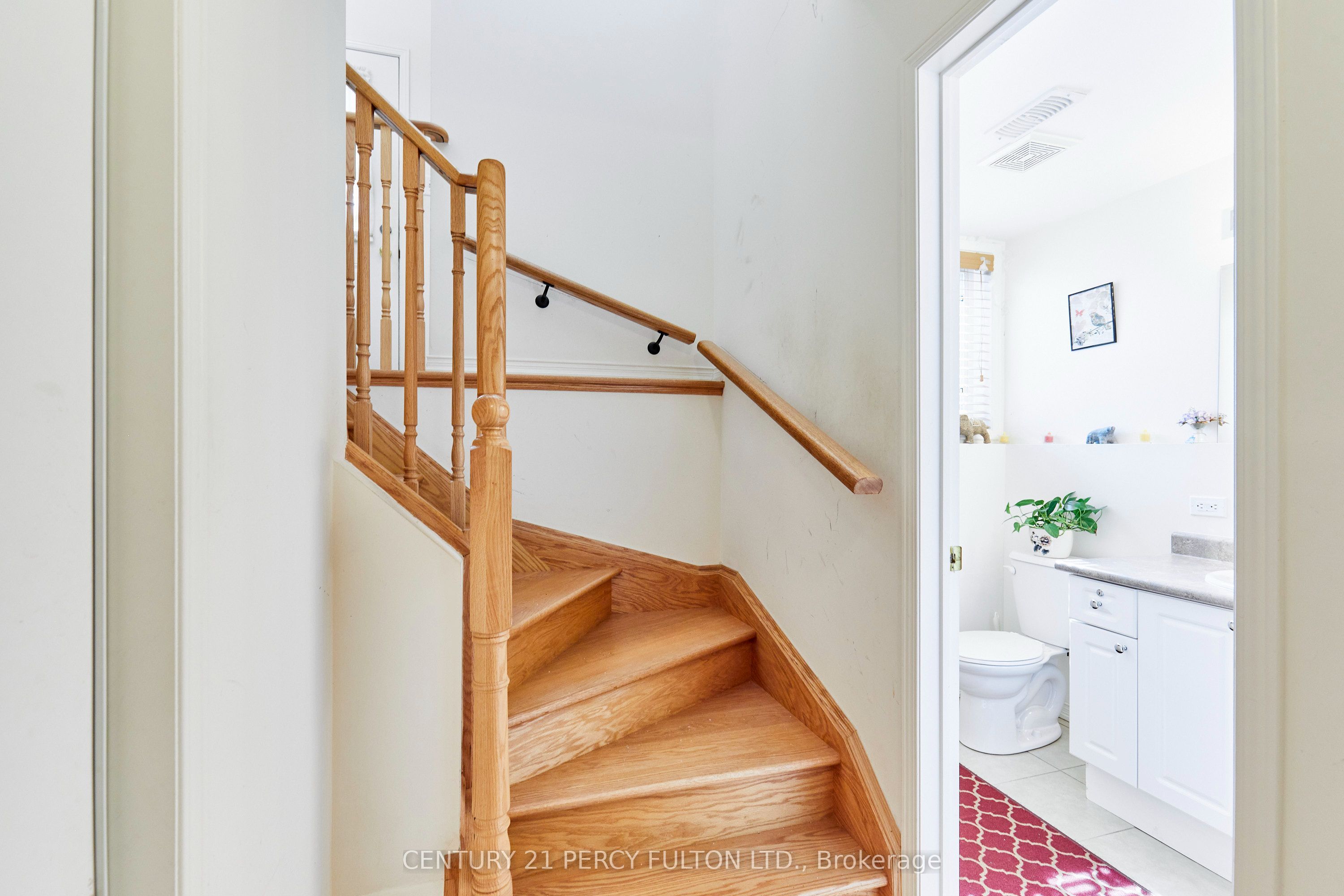 8 Knowles Street Property Photo 21