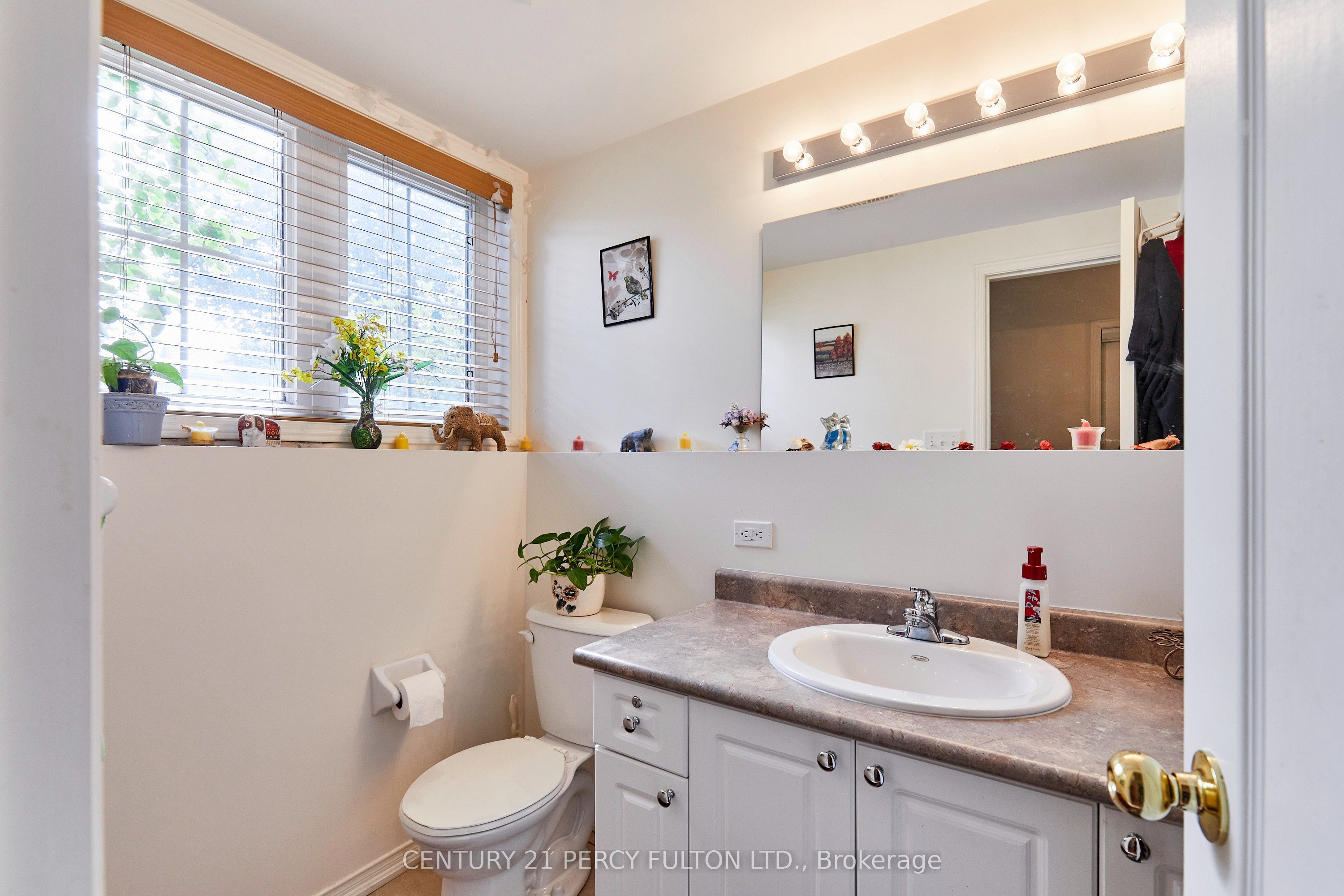 8 Knowles Street Property Photo 22