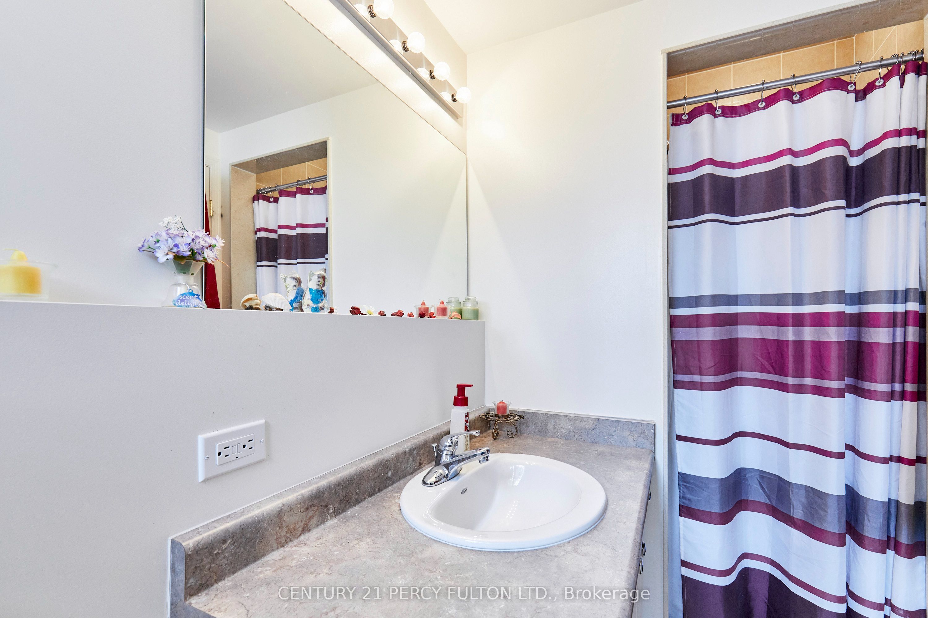 8 Knowles Street Property Photo 23