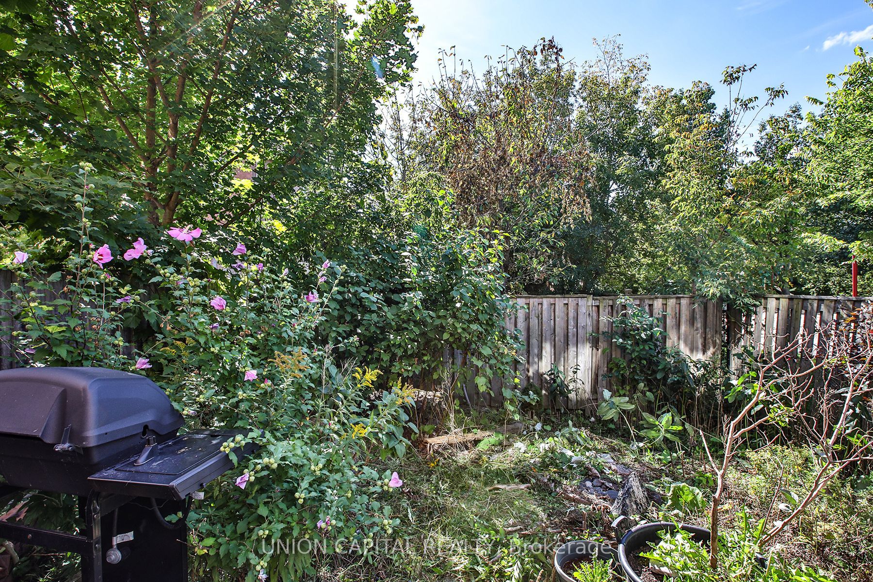 60 Wilkie Lane Property Photo 33