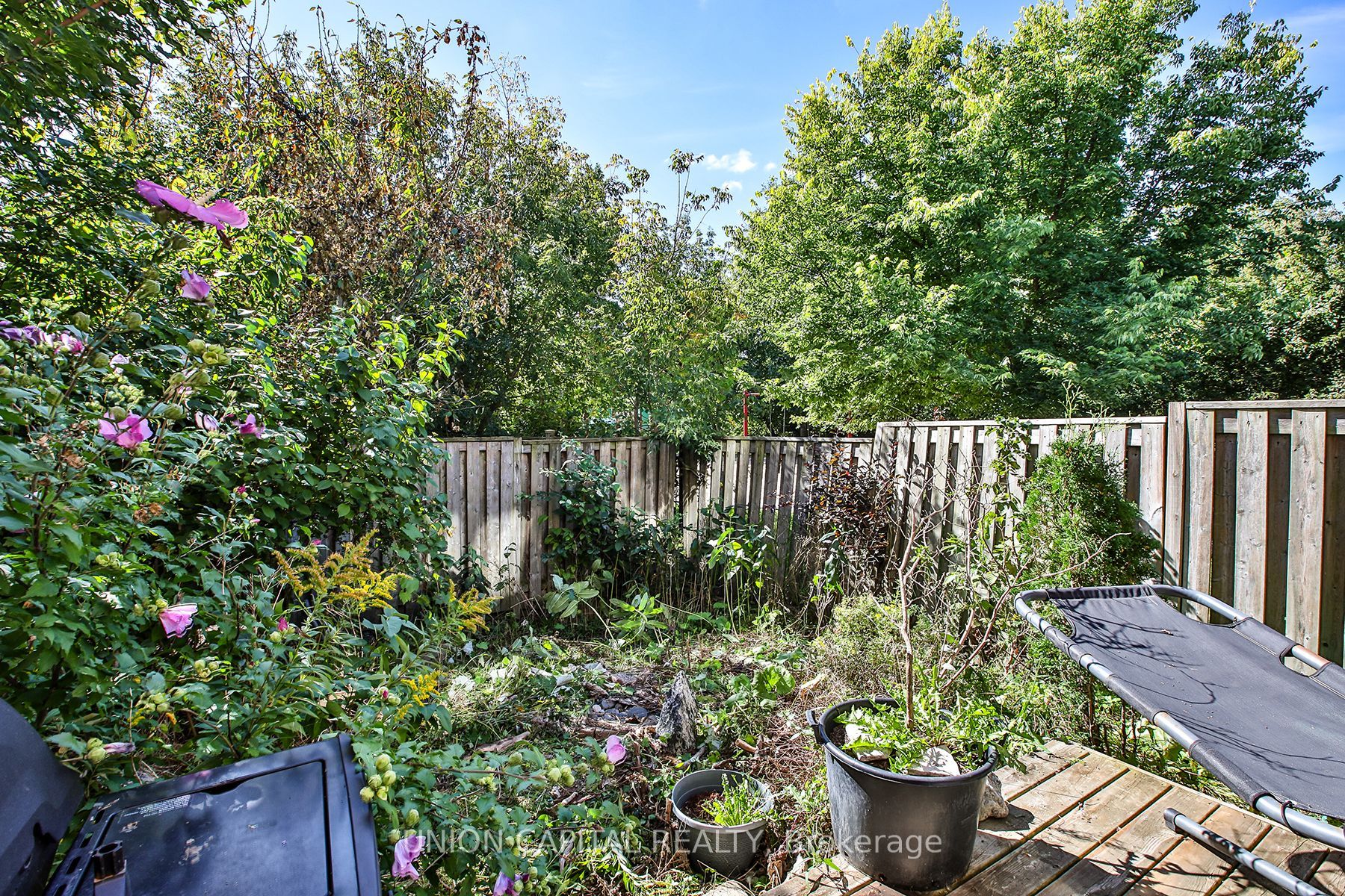 60 Wilkie Lane Property Photo 34