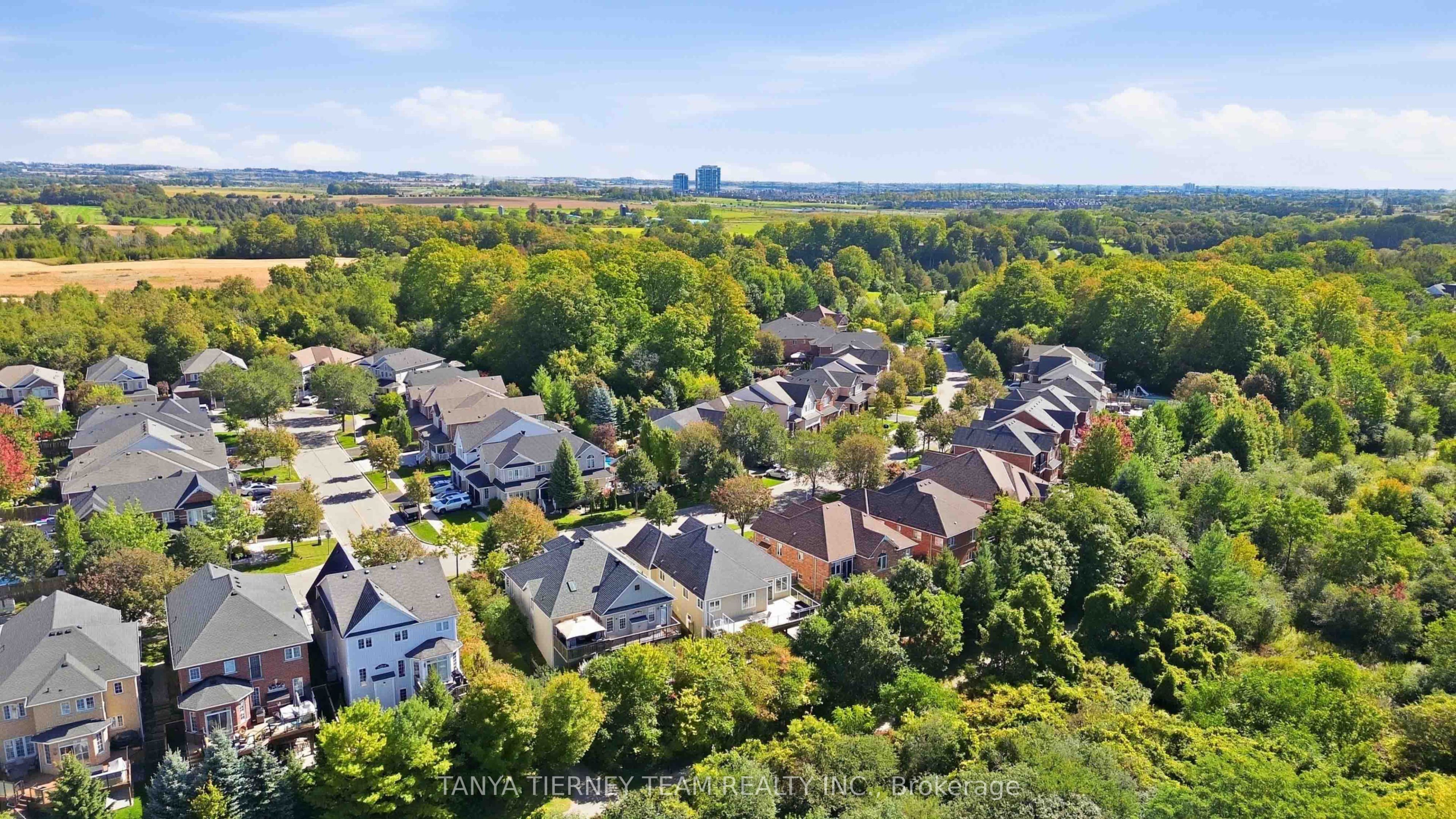 4 Branthaven Court Property Photo 49