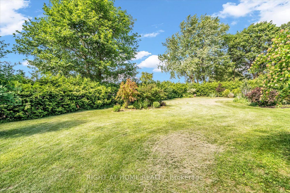 1320 King Street Property Photo 11