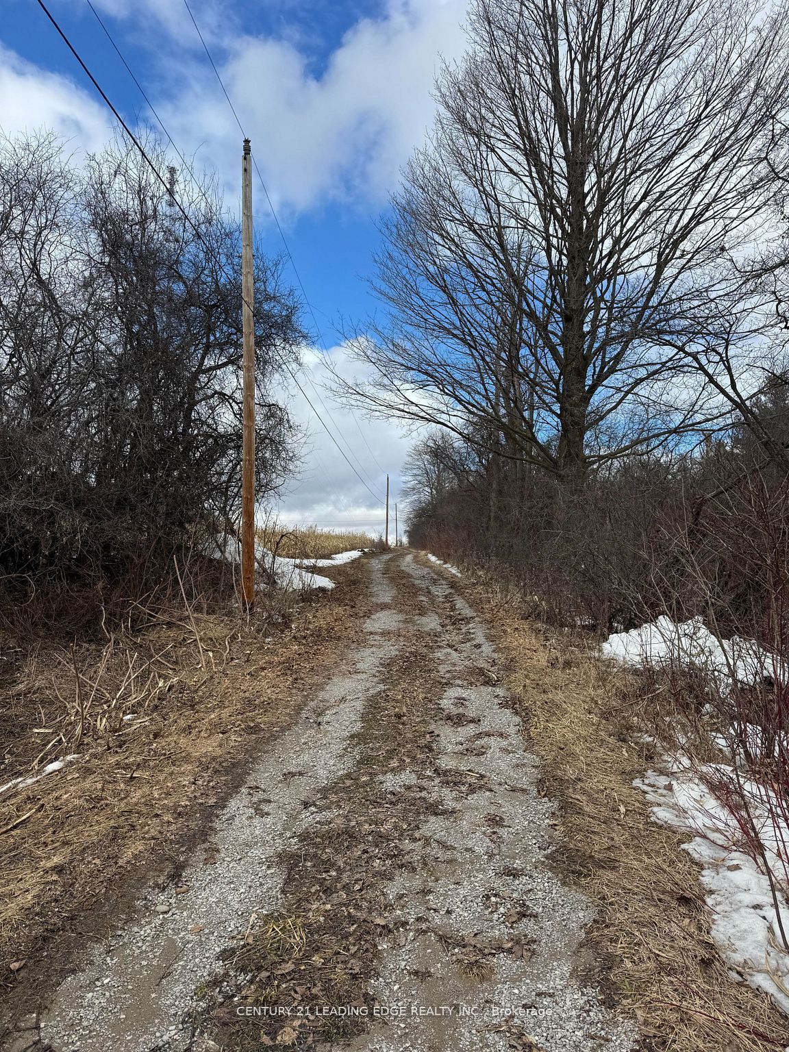 8700 Coronation Road Property Photo 3
