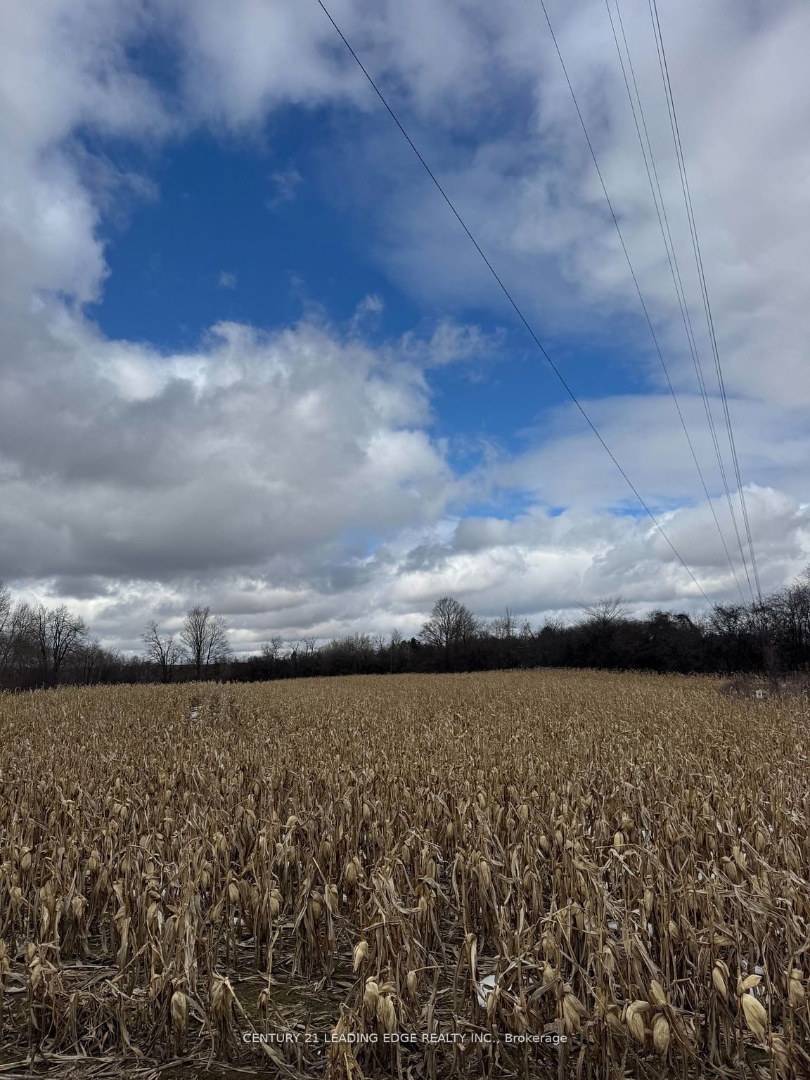 8700 Coronation Road Property Photo 4