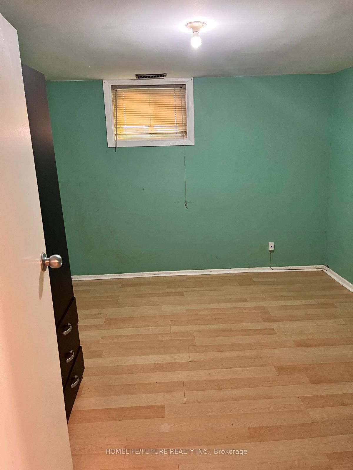229 Flora Drive Bsmt Property Photo 6