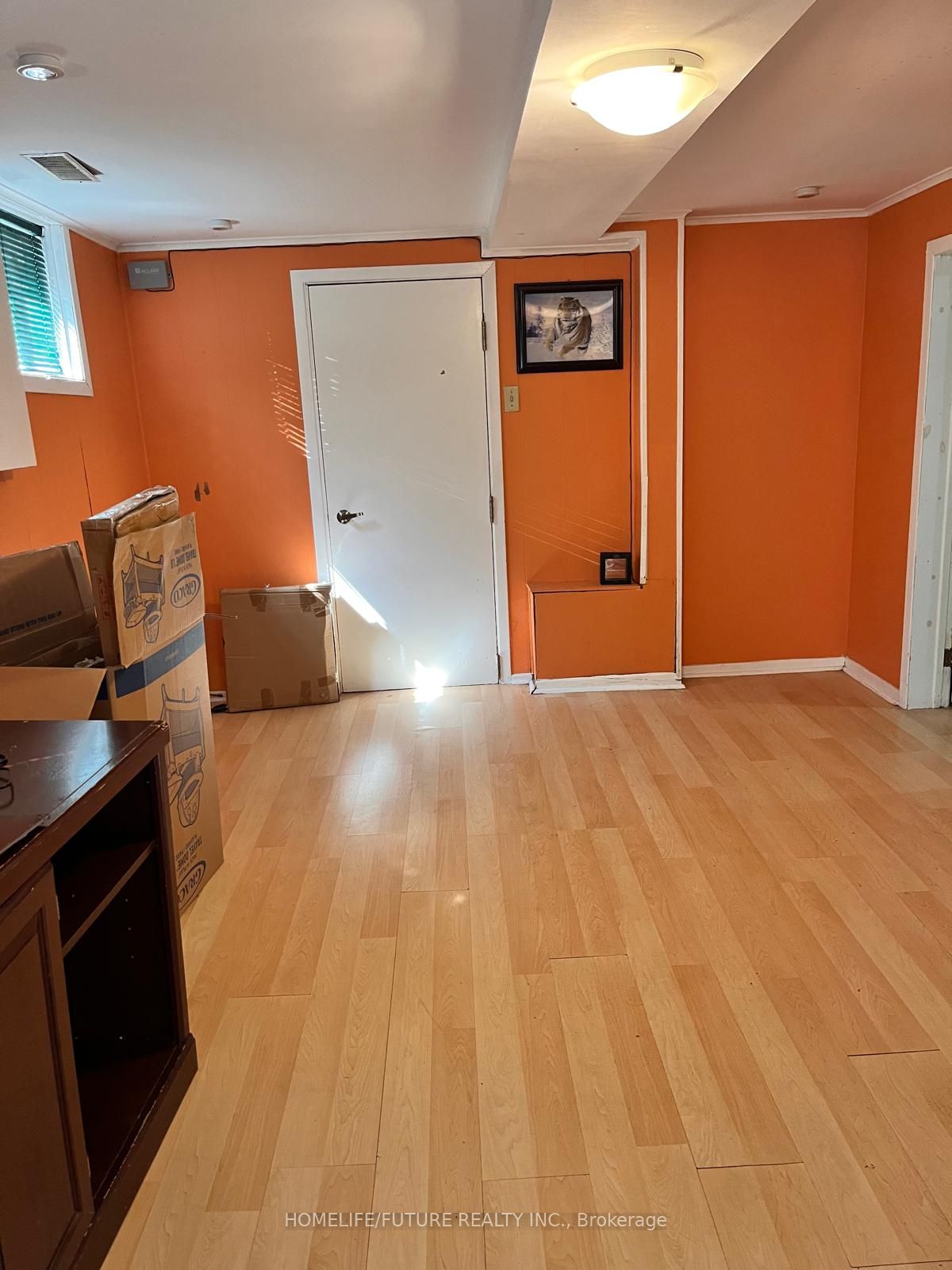 229 Flora Drive Bsmt Property Photo 7