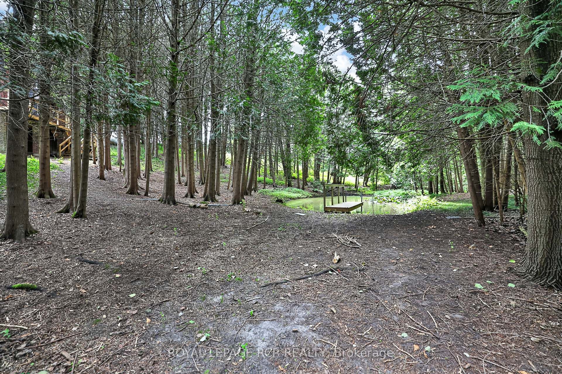 502 Townline Road Property Photo 35