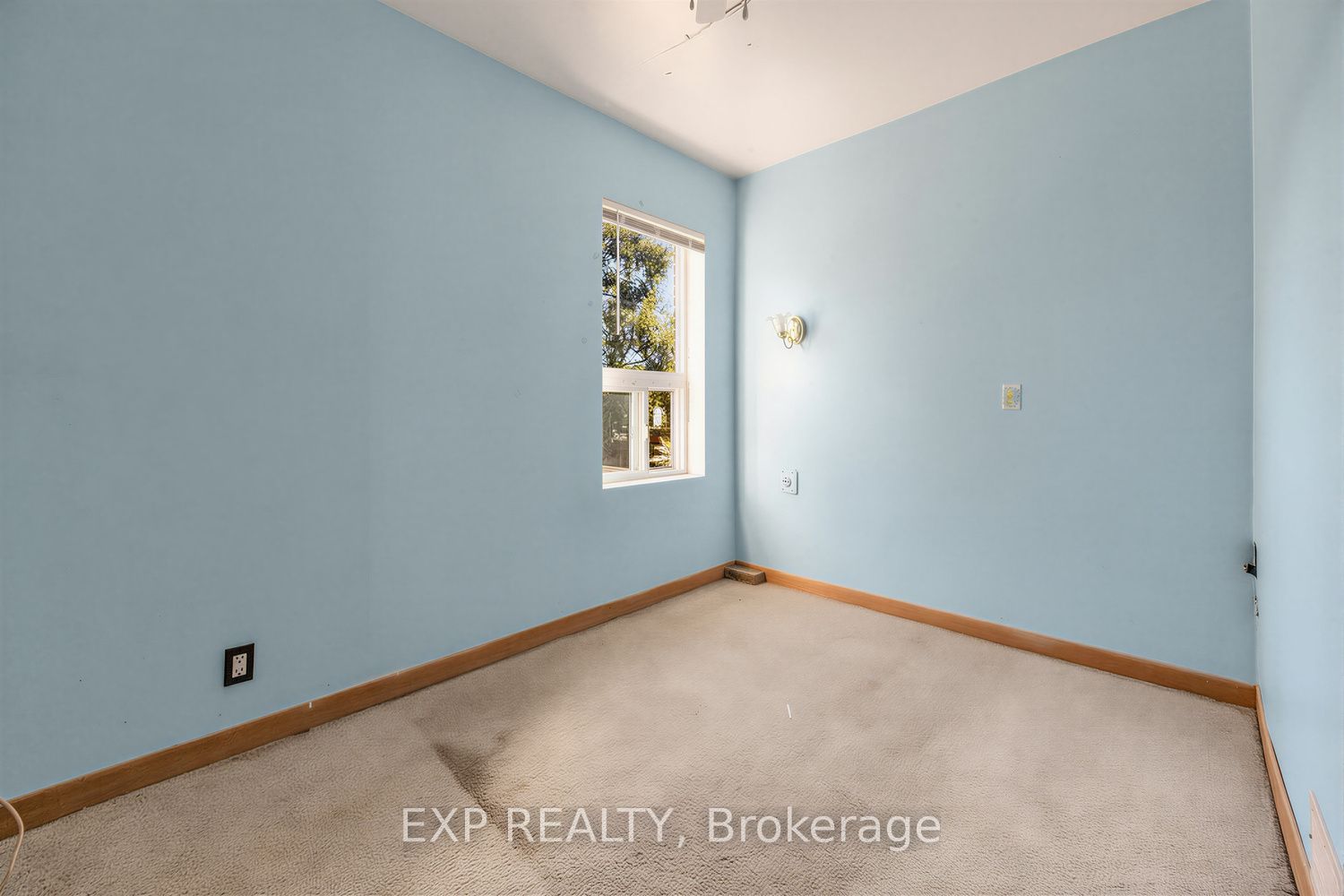 511 Carlaw Avenue Property Photo 13