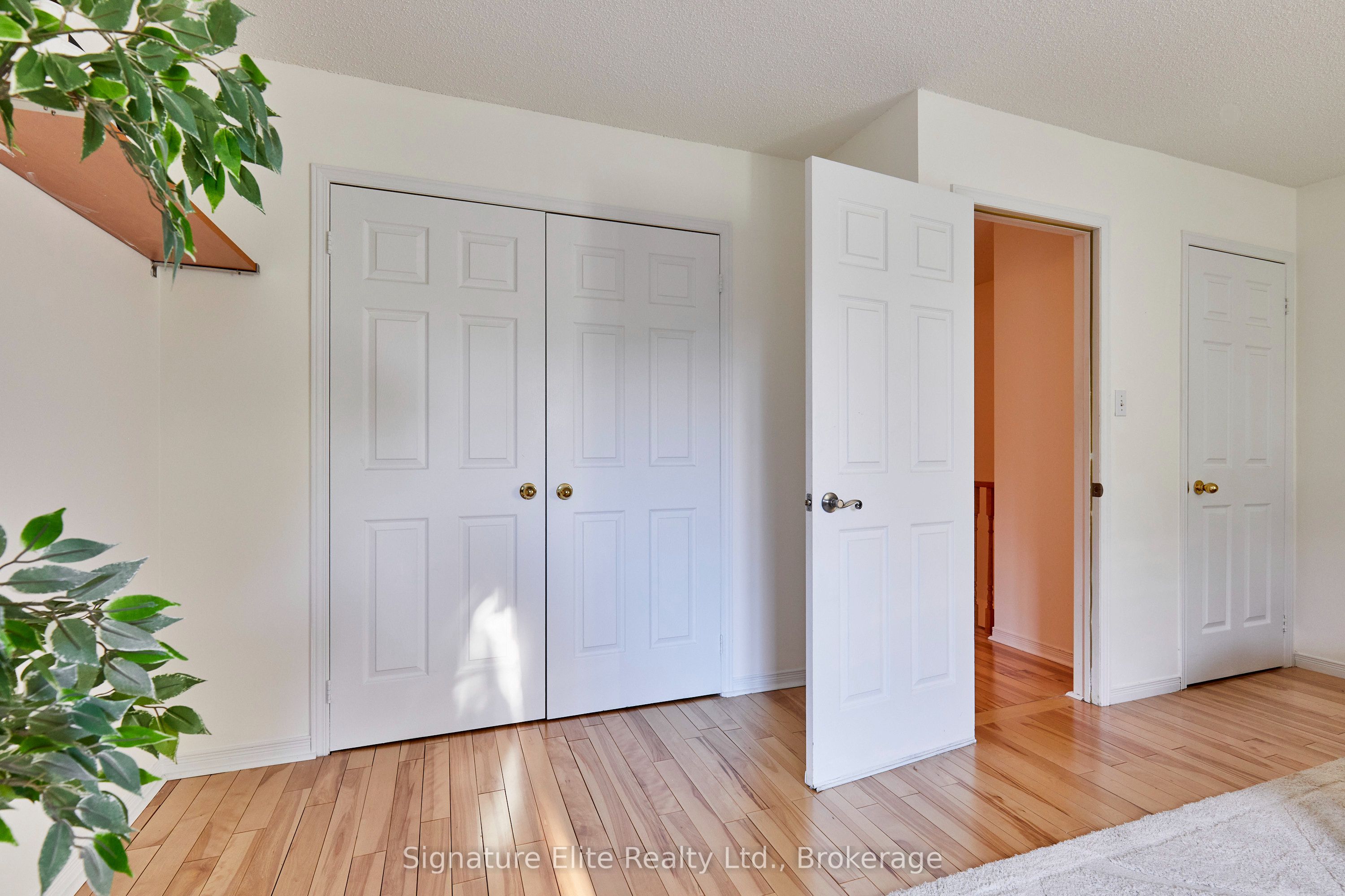 12 Blair Street Property Photo 23