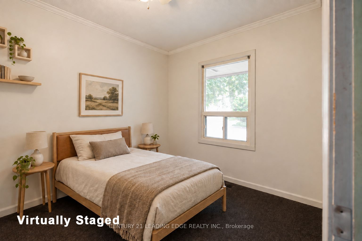 14 George Street Property Photo 21