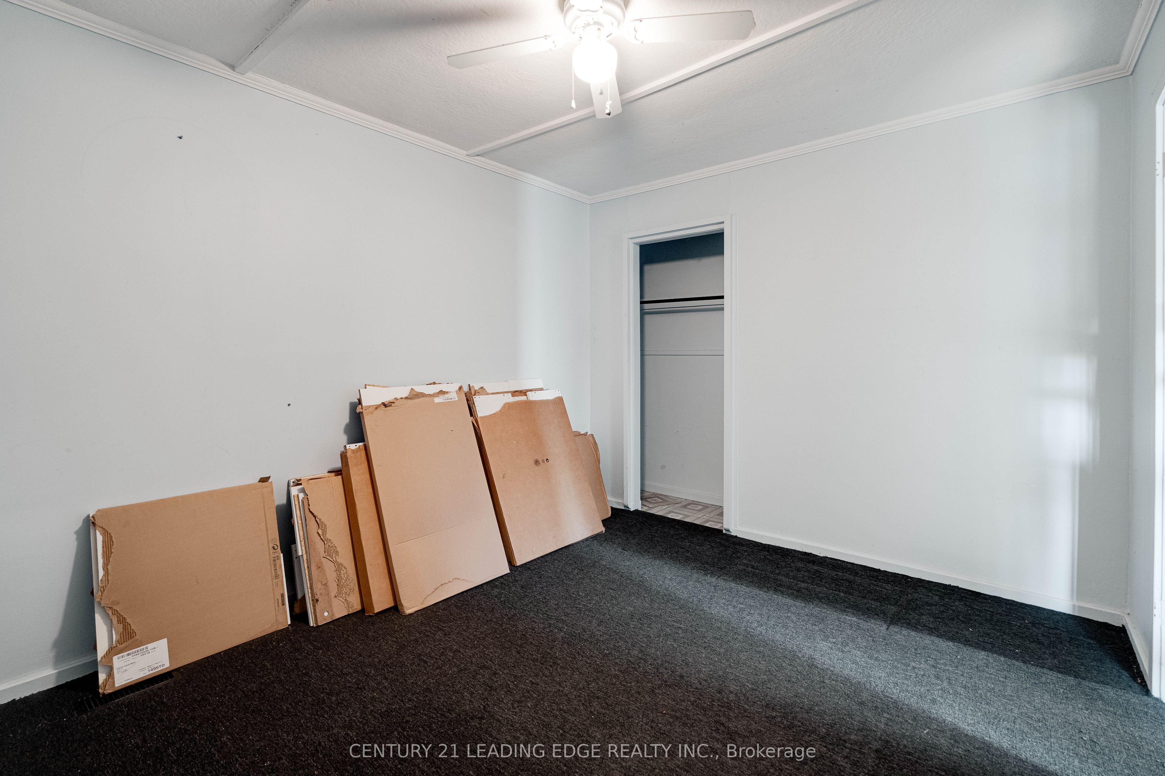 14 George Street Property Photo 27