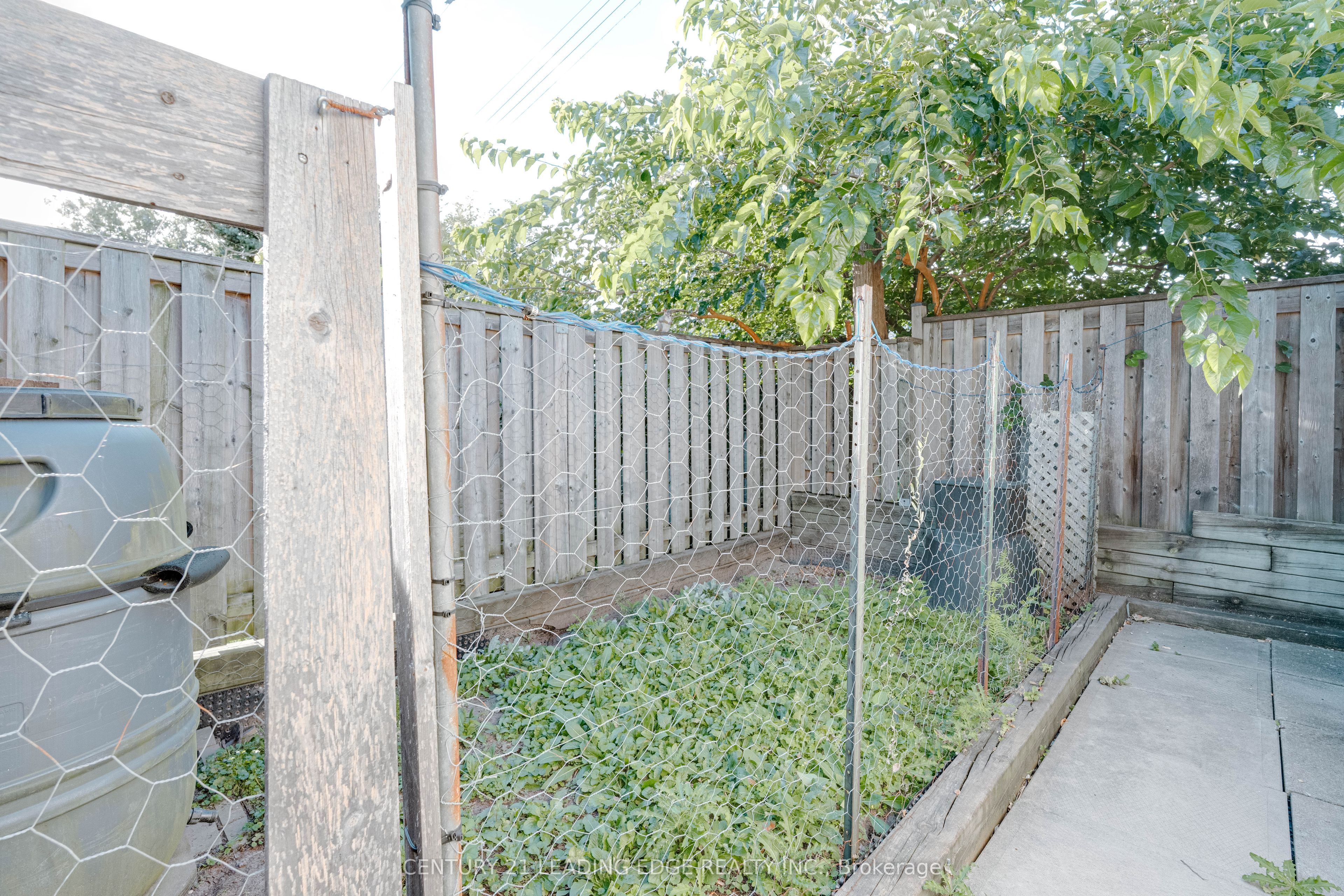 14 George Street Property Photo 34