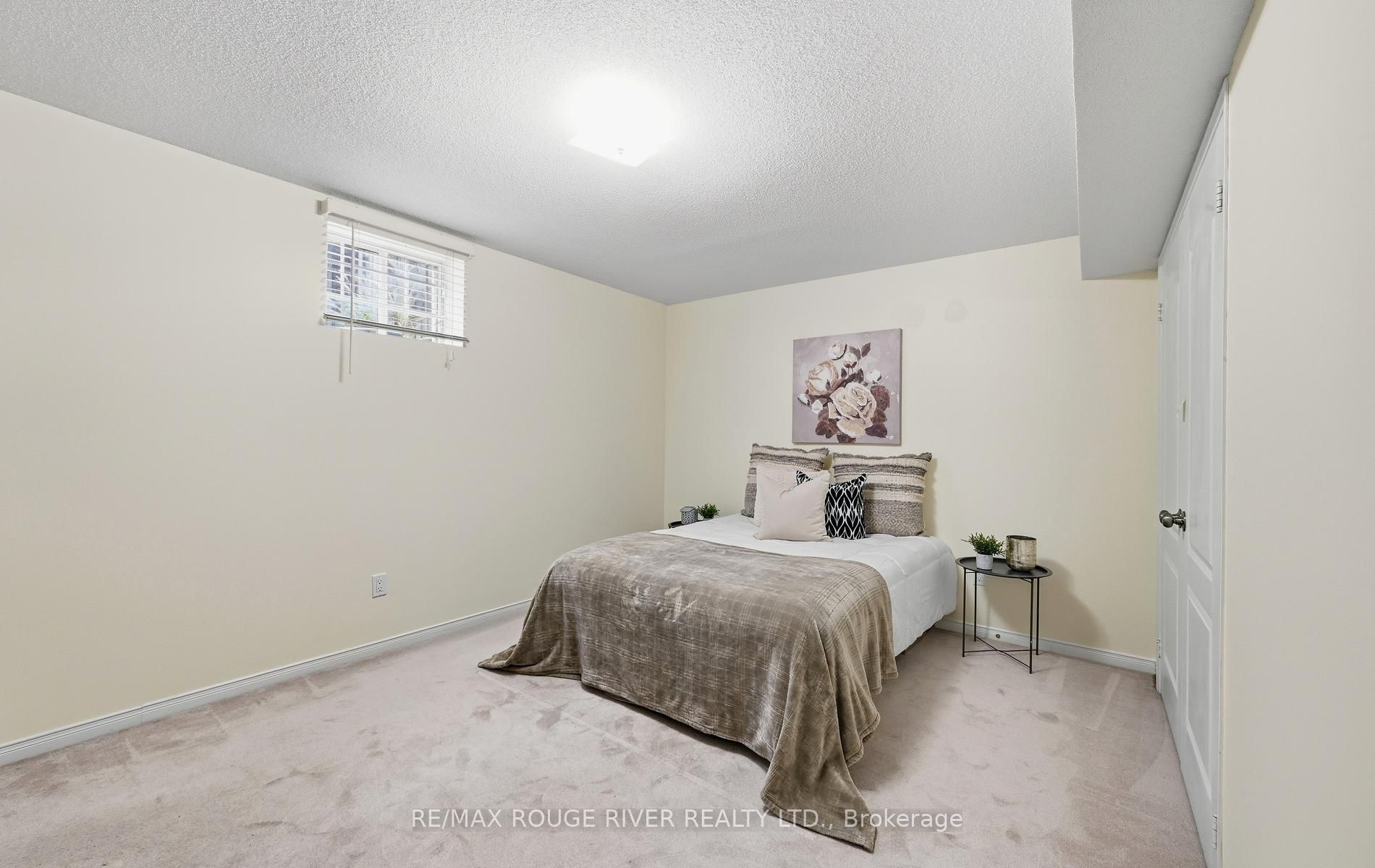 245 Willowbrook Drive Property Photo 27