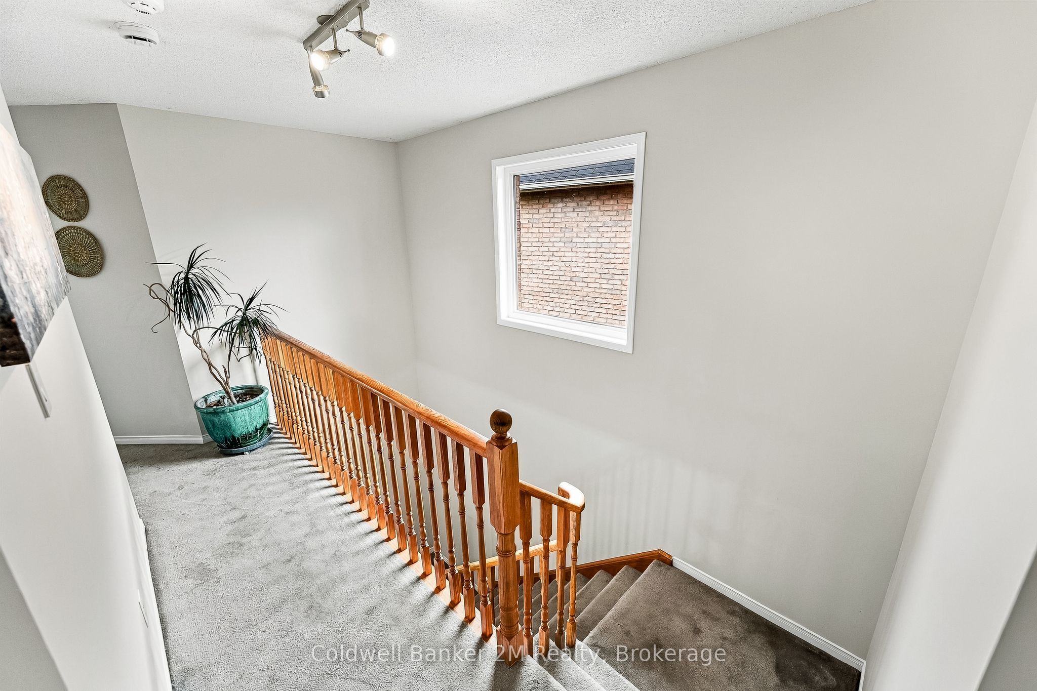 52 Marjoram Drive Property Photo 23