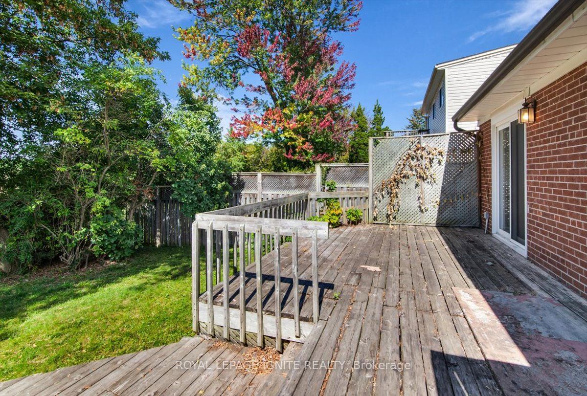 76 Celeste Drive Property Photo 32