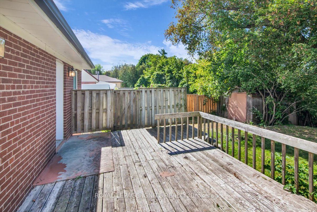 76 Celeste Drive Property Photo 33