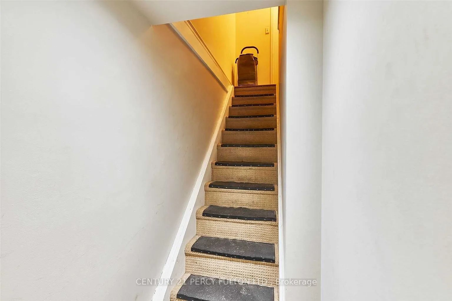 10 Muriel Avenue Lower Property Photo 2