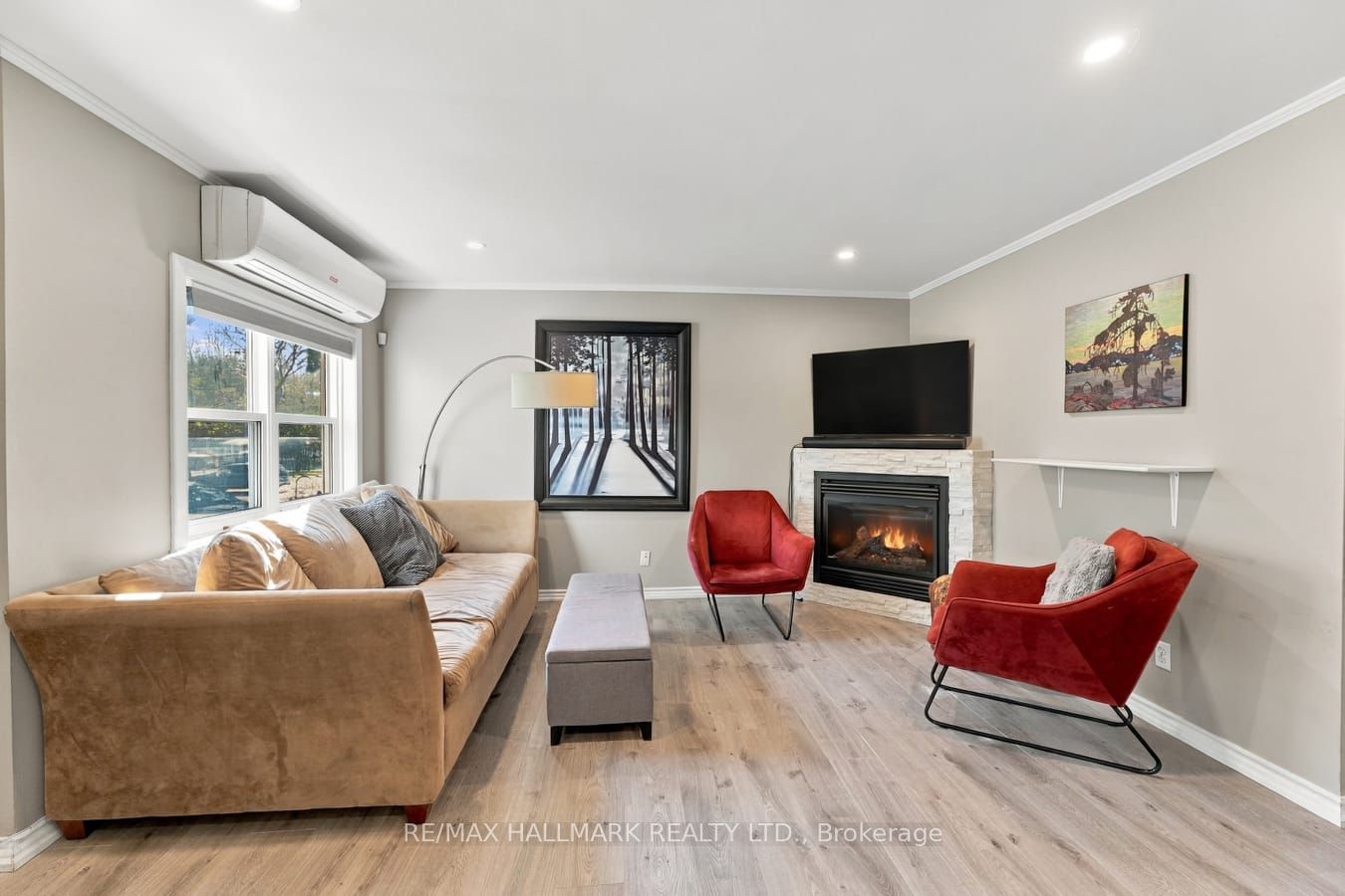 6 Albert Street Property Photo 7
