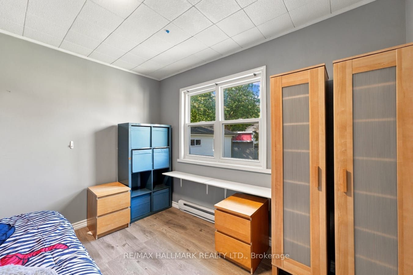 6 Albert Street Property Photo 22