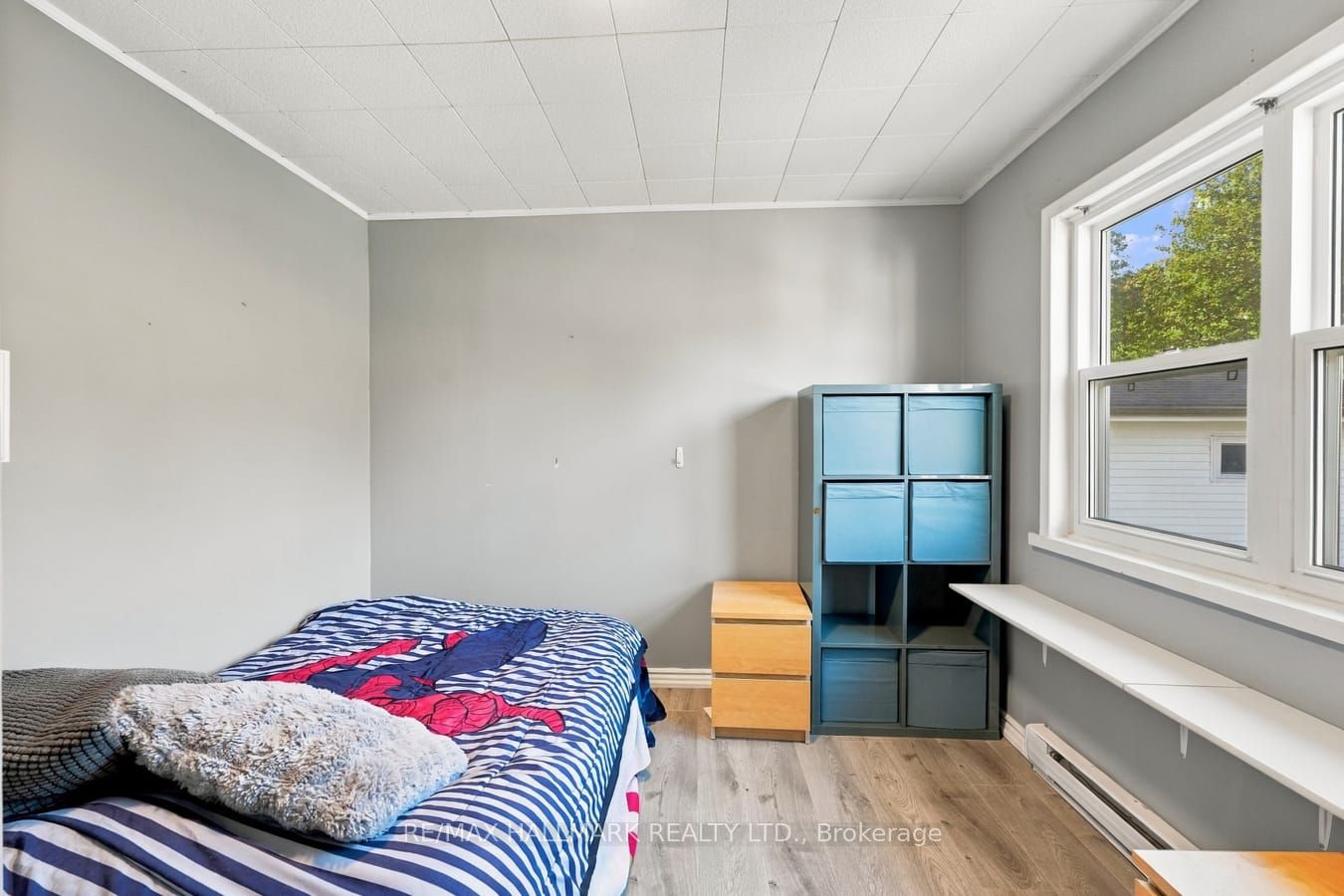 6 Albert Street Property Photo 23