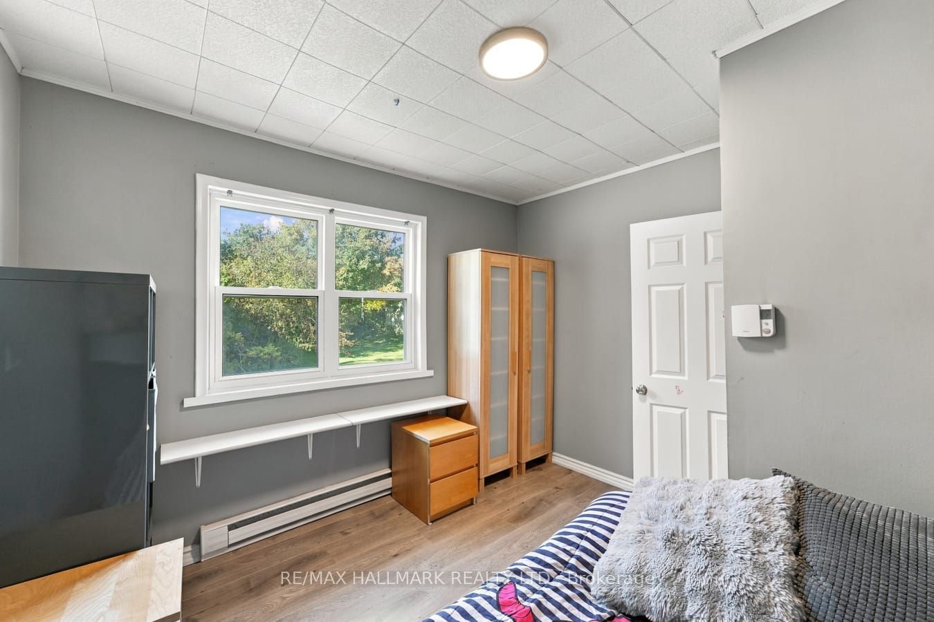 6 Albert Street Property Photo 24