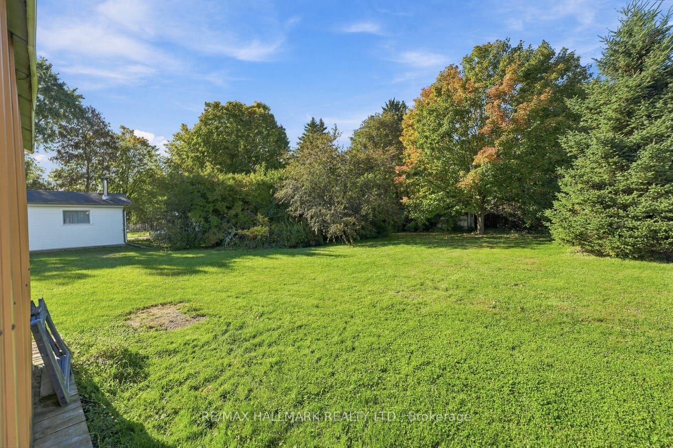 6 Albert Street Property Photo 45