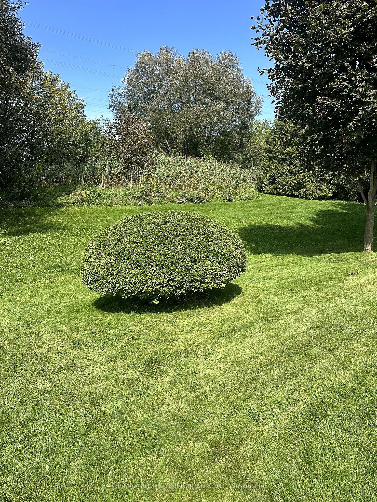 154 Wilmot Trail Property Photo 21