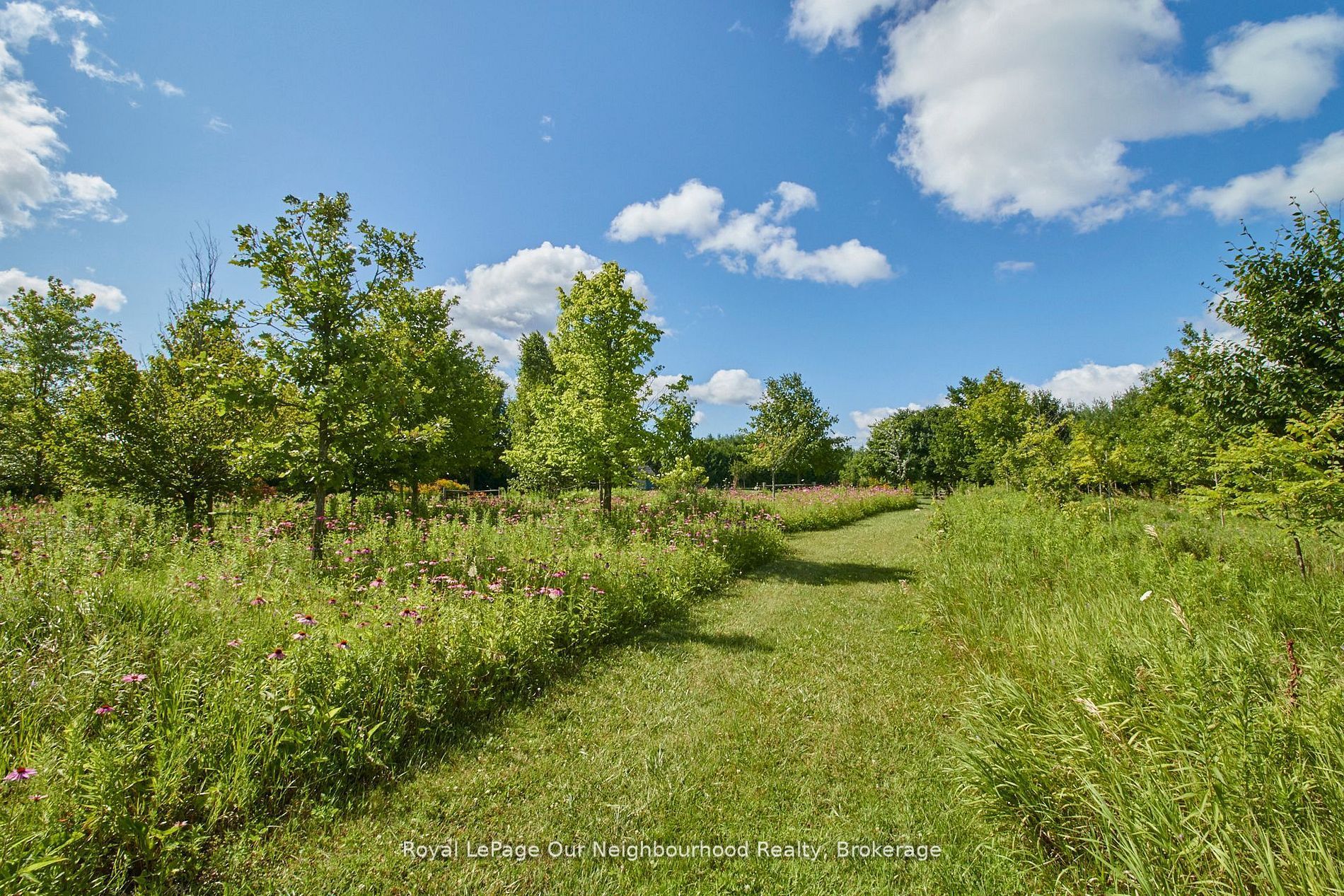 3088 Concession 7 Road Property Photo 42