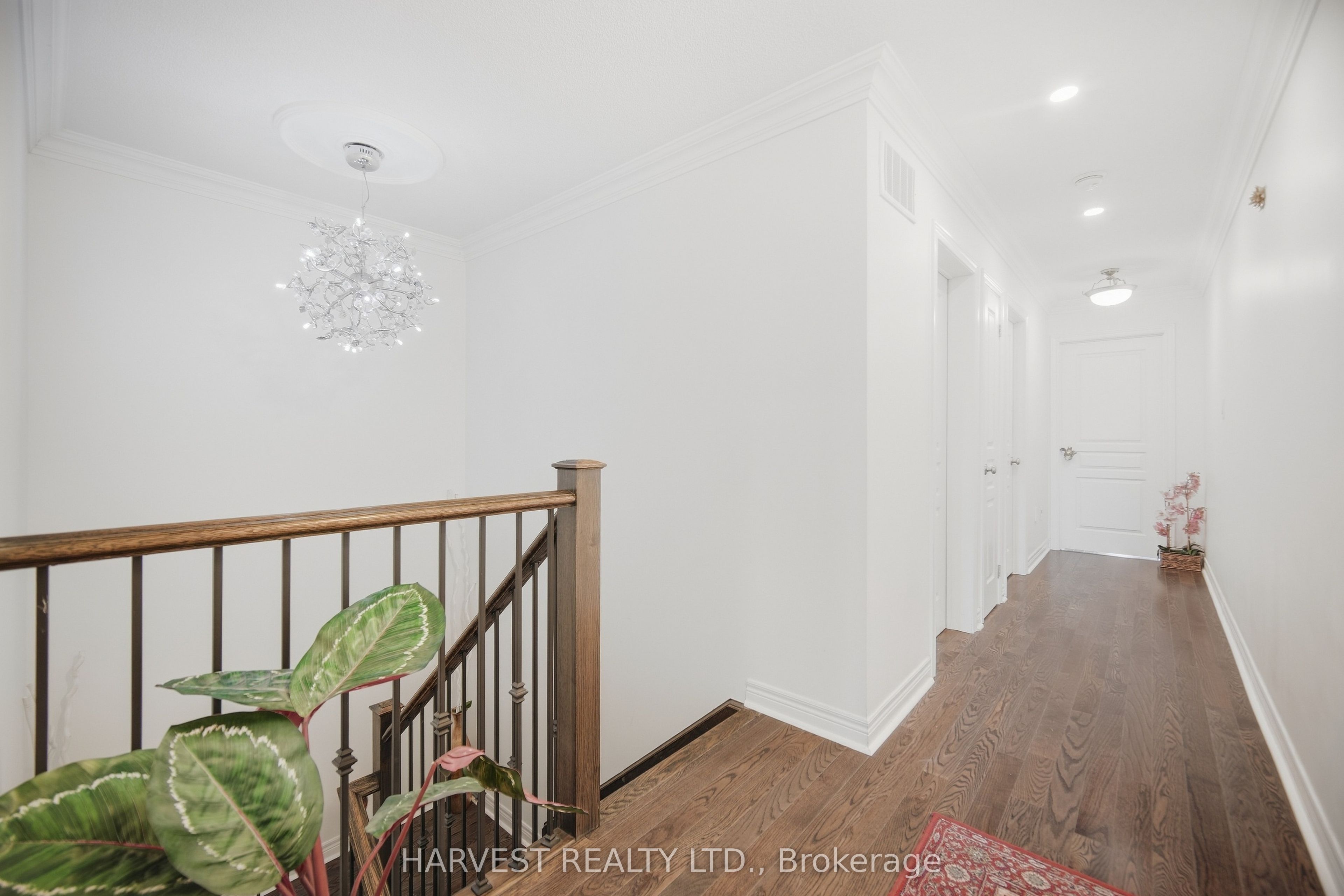 15 Moonseed Court Property Photo 22