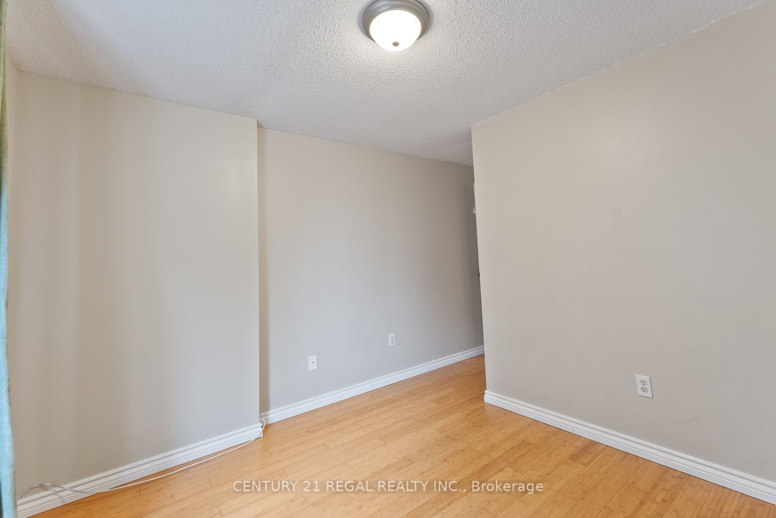28 Ecclesfield Drive Property Photo 34