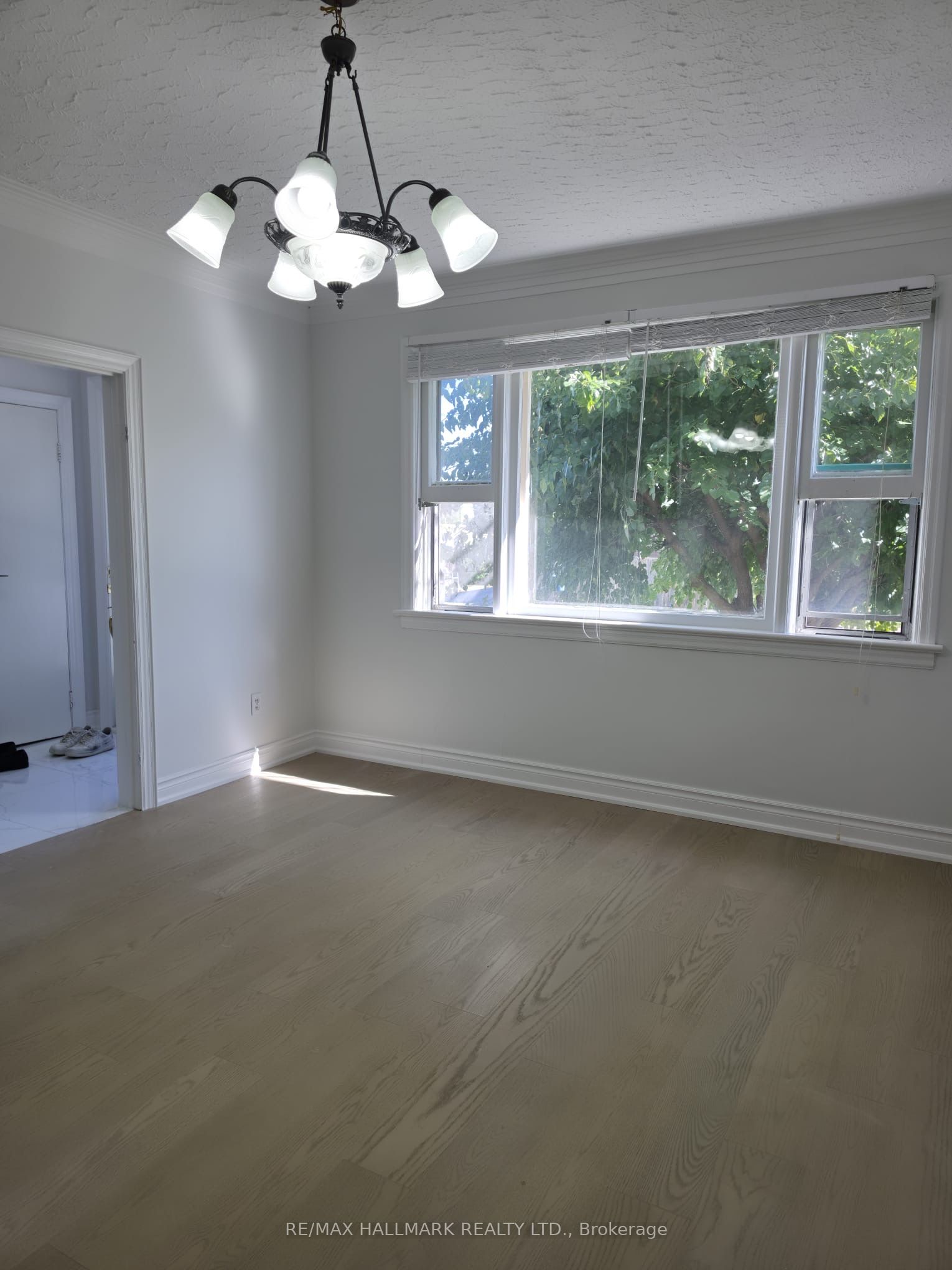 980 Glen Street Property Photo 3