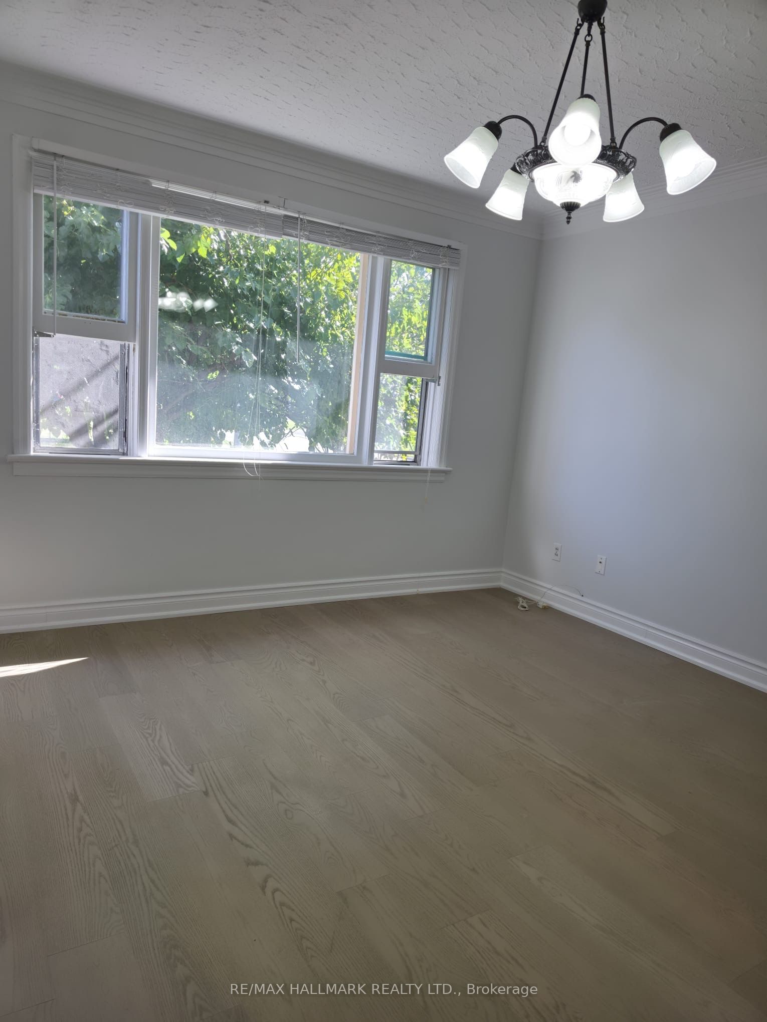 980 Glen Street Property Photo 4